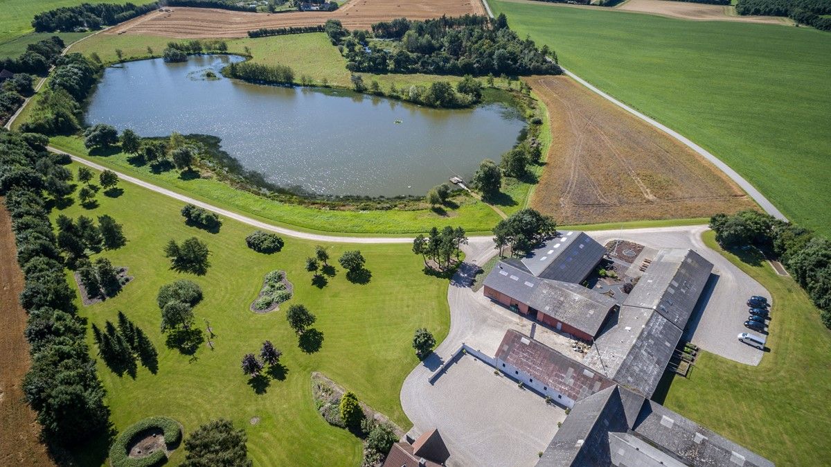 Springbrættet — STU-uddannelse i Midtjylland