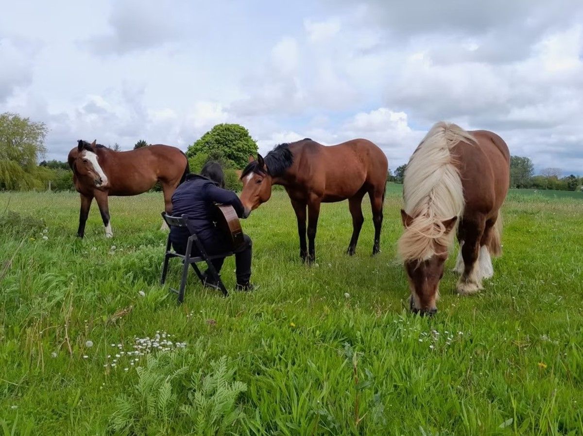 Værkstedsskolen Krummebækgaard — STU-uddannelse i Sjælland