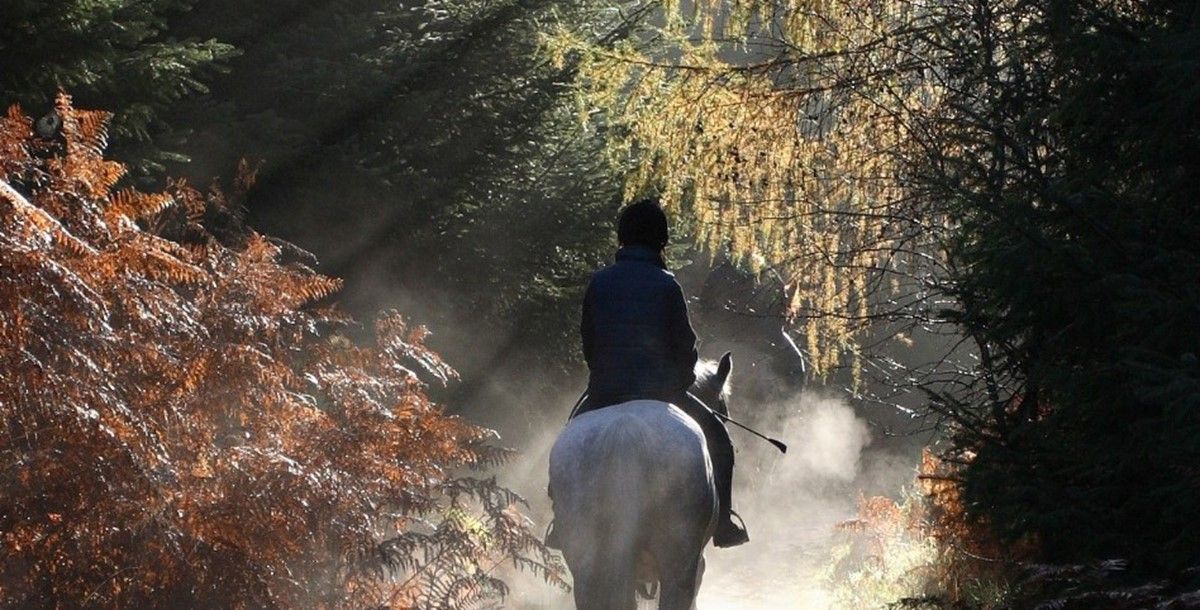 Kernestedets STU — STU-uddannelse i Sjælland