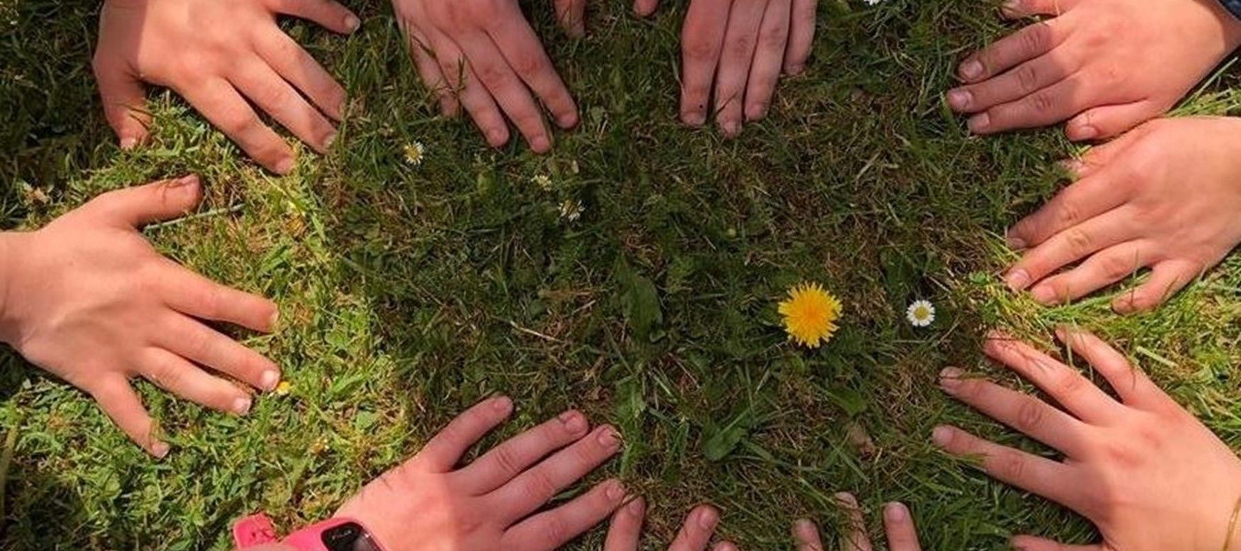 STU Merkur — STU-uddannelse i Syddanmark