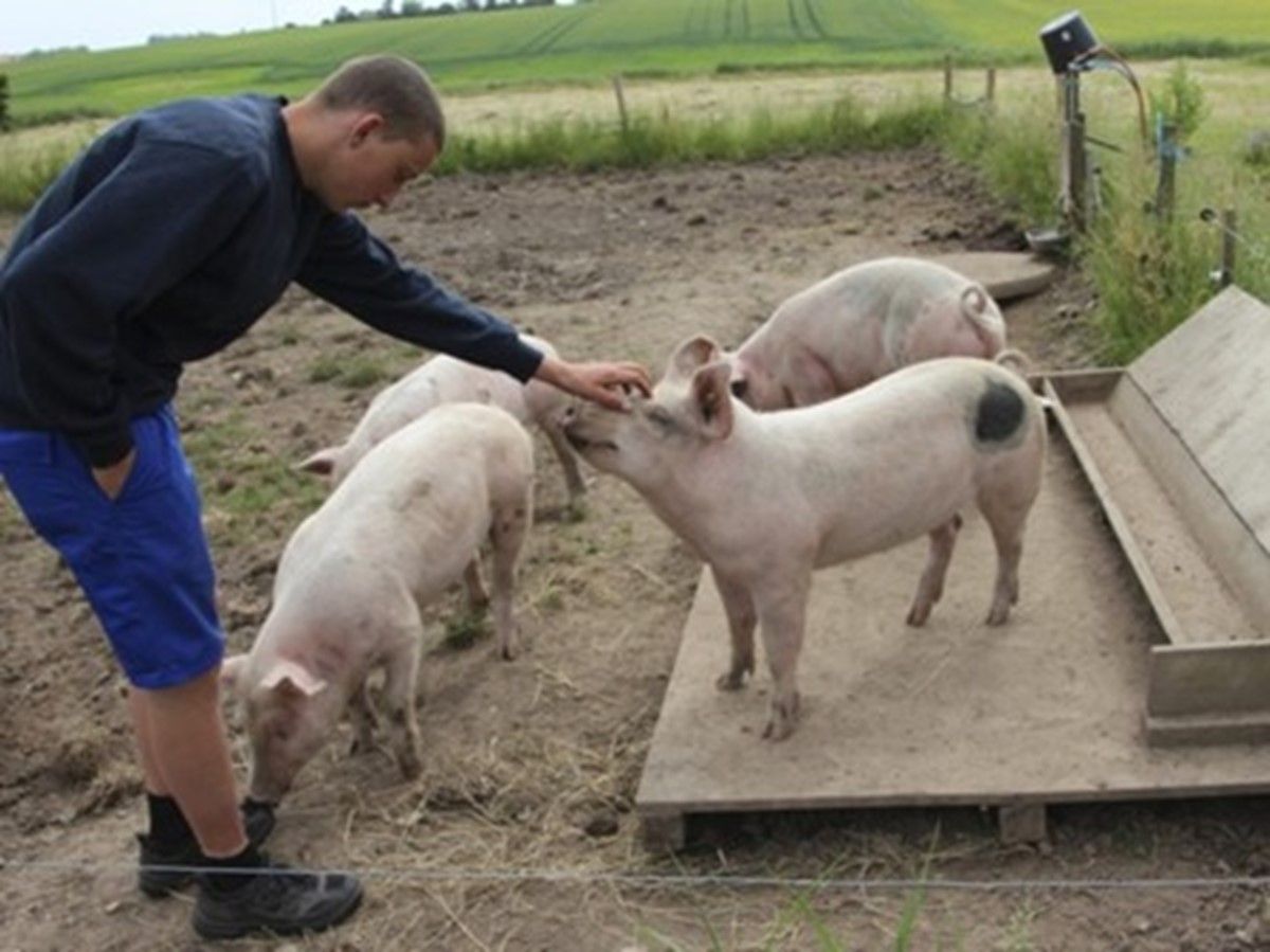 Thyfondens STU-Markvejen — STU-uddannelse i Nordjylland