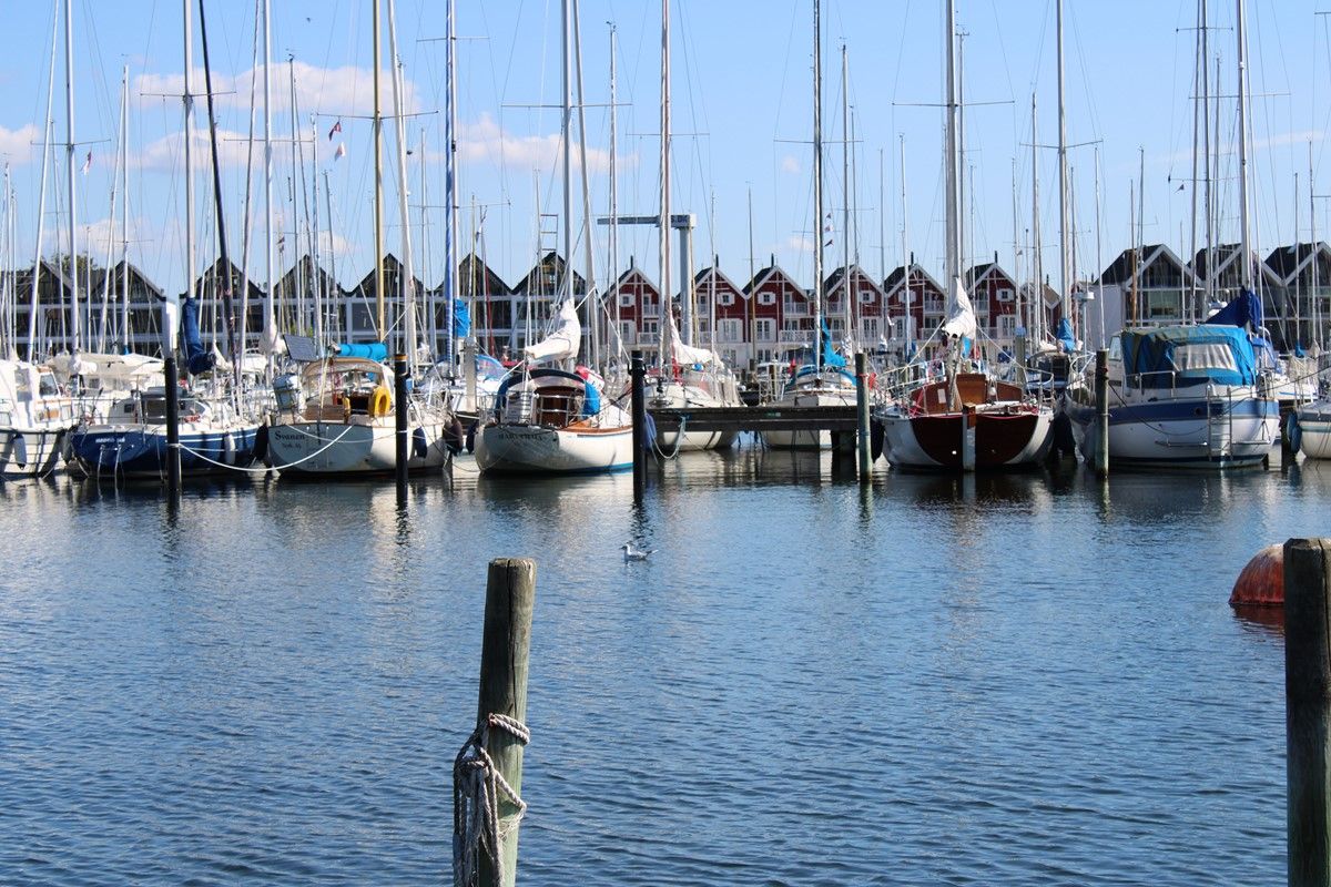 Ungevej – STU — STU-uddannelse i Sjælland