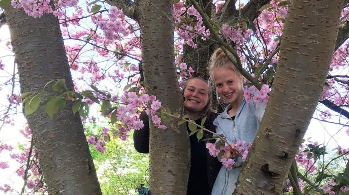 STU Annexgaarden i Odsherred — STU-uddannelse i Sjælland