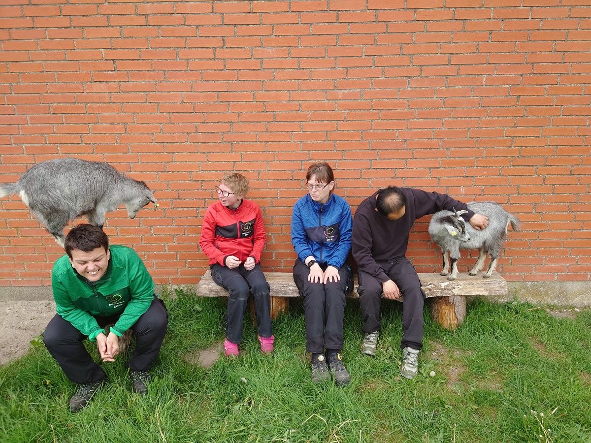 S/I Fonden Dalgaarden — STU-uddannelse i Nordjylland