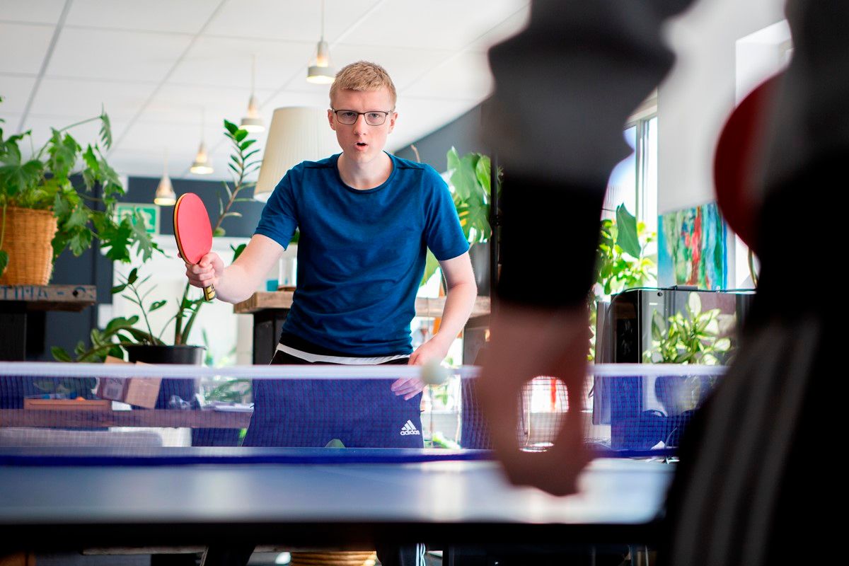 Special Minds ApS- Kolding — STU-uddannelse i Syddanmark