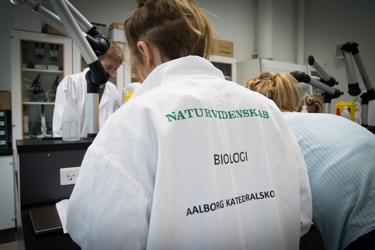 Aalborg Katedralskole — STU-uddannelse i Nordjylland