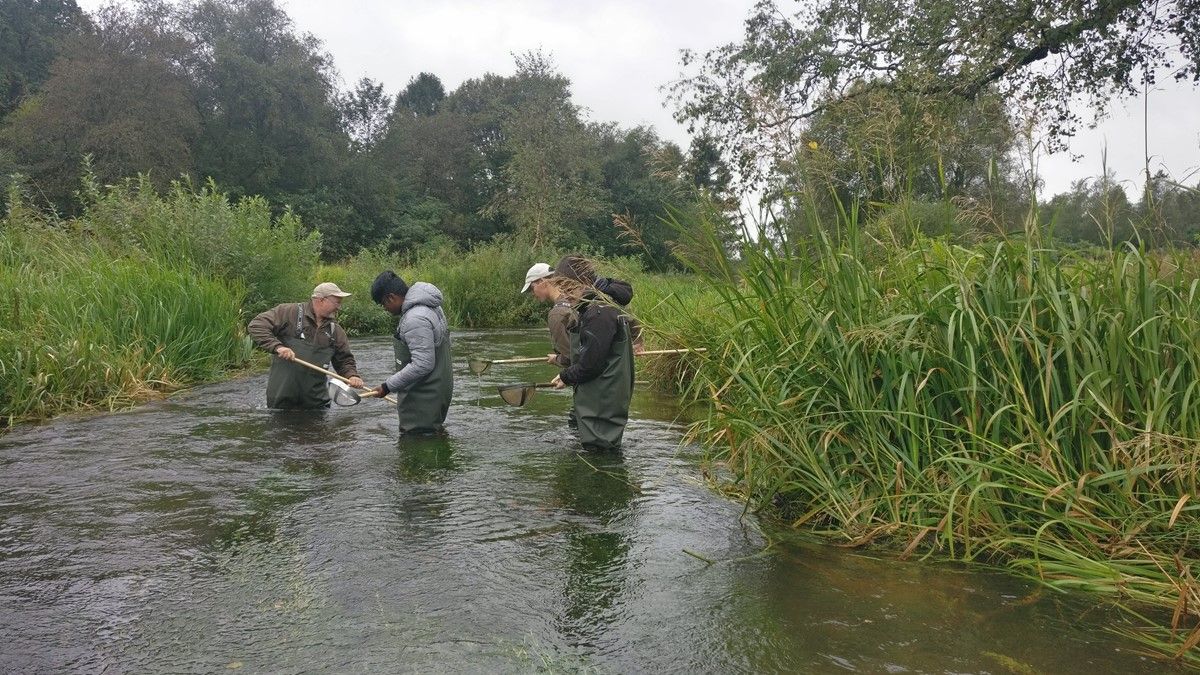 STU Ikast-Brande — STU-uddannelse i Midtjylland