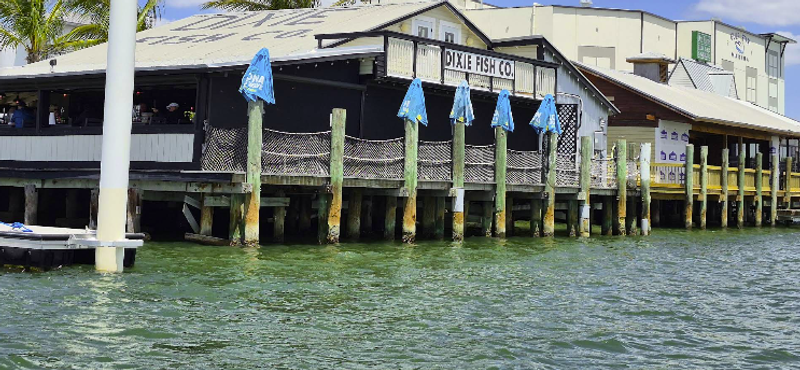Dixie Fish Company