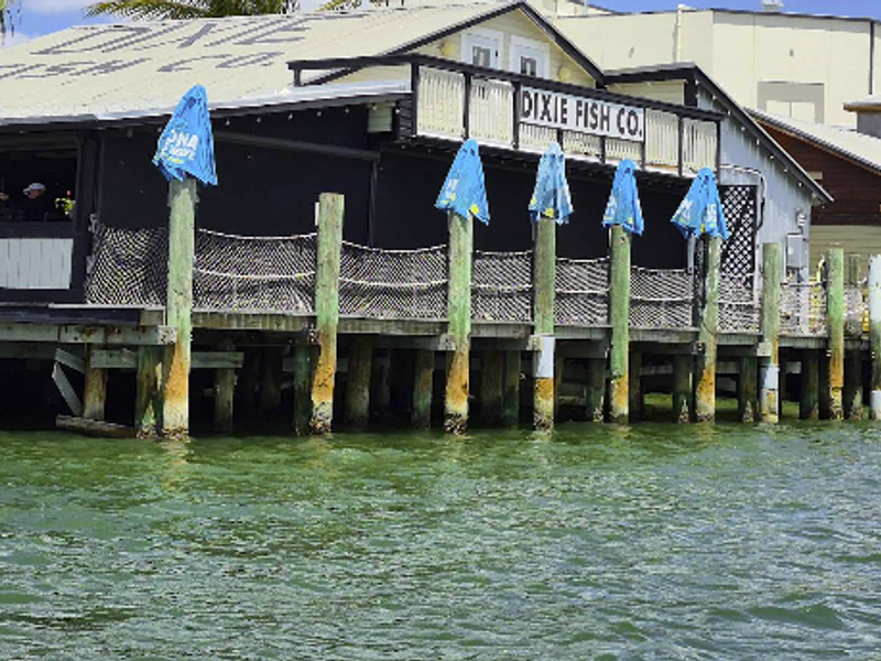 Dixie Fish Company