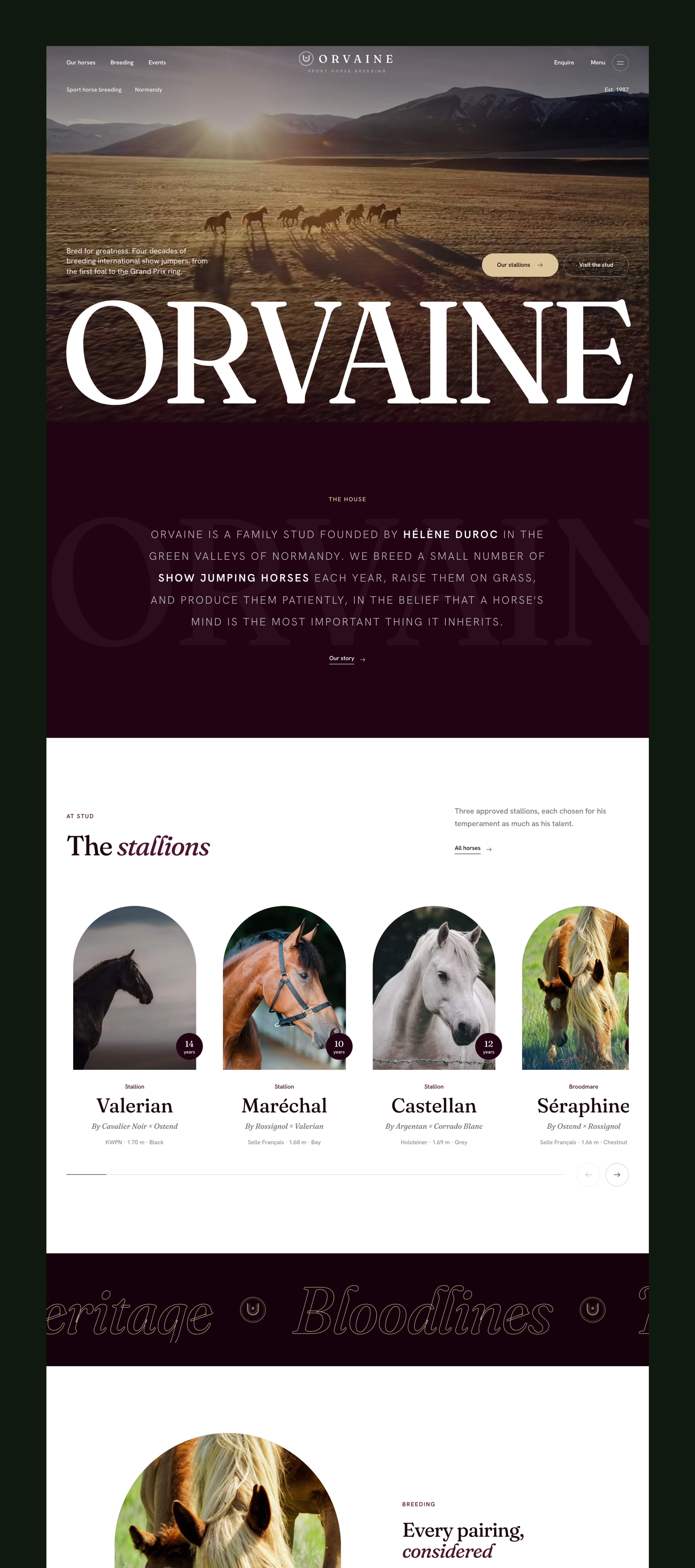 Orvaine - Luxury Equestrian & Horse Breeding Website Template screenshot 6