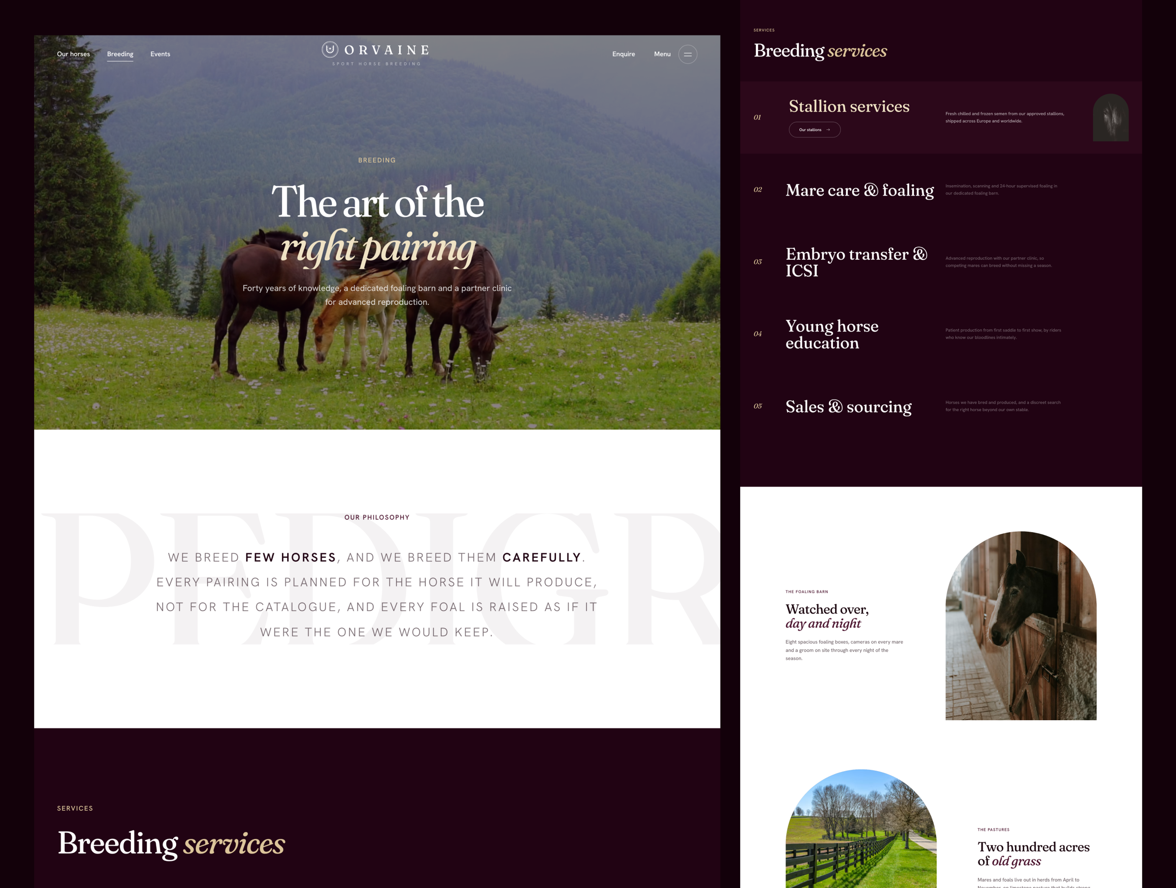 Orvaine - Luxury Equestrian & Horse Breeding Website Template screenshot 2