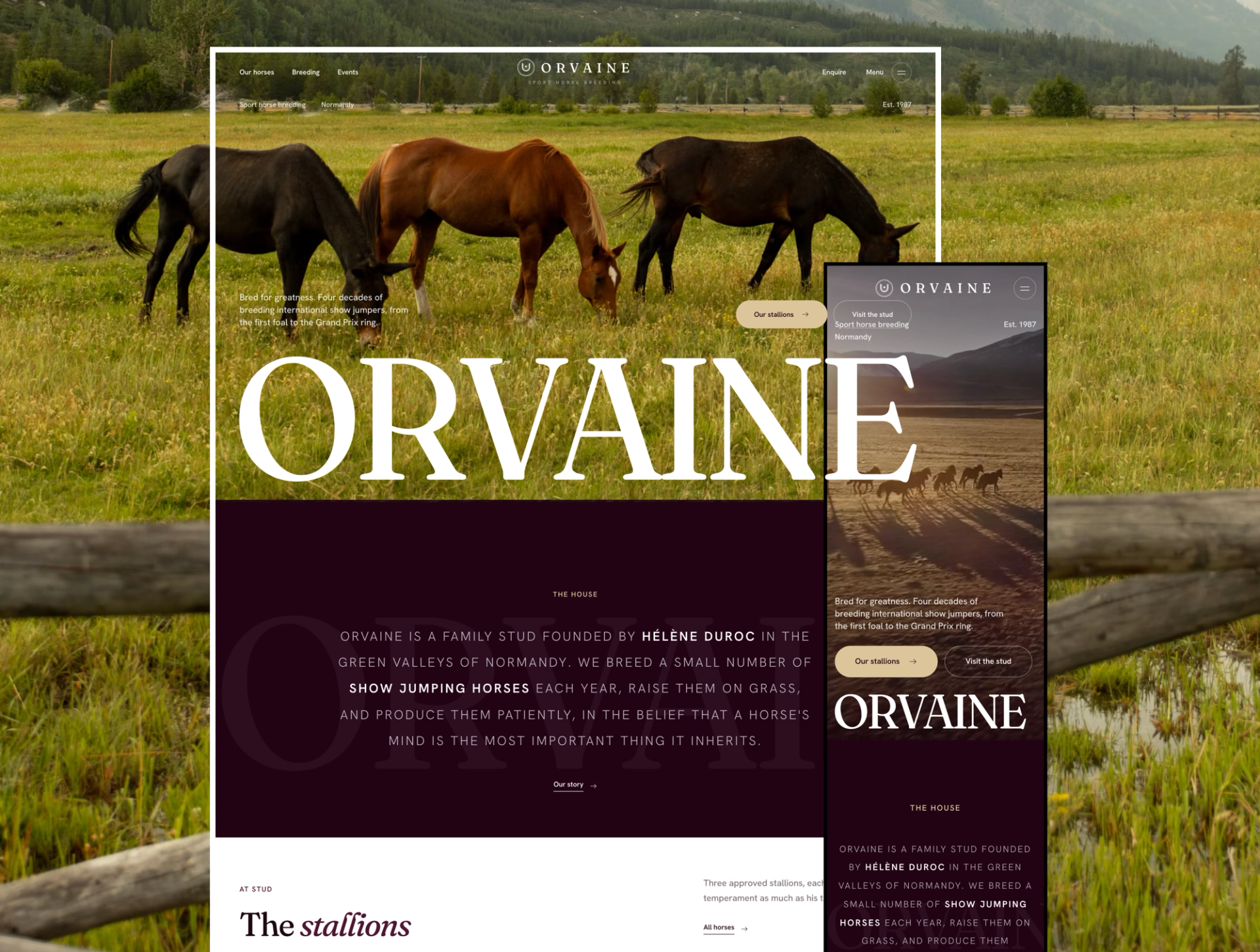 Orvaine - Luxury Equestrian & Horse Breeding Website Template