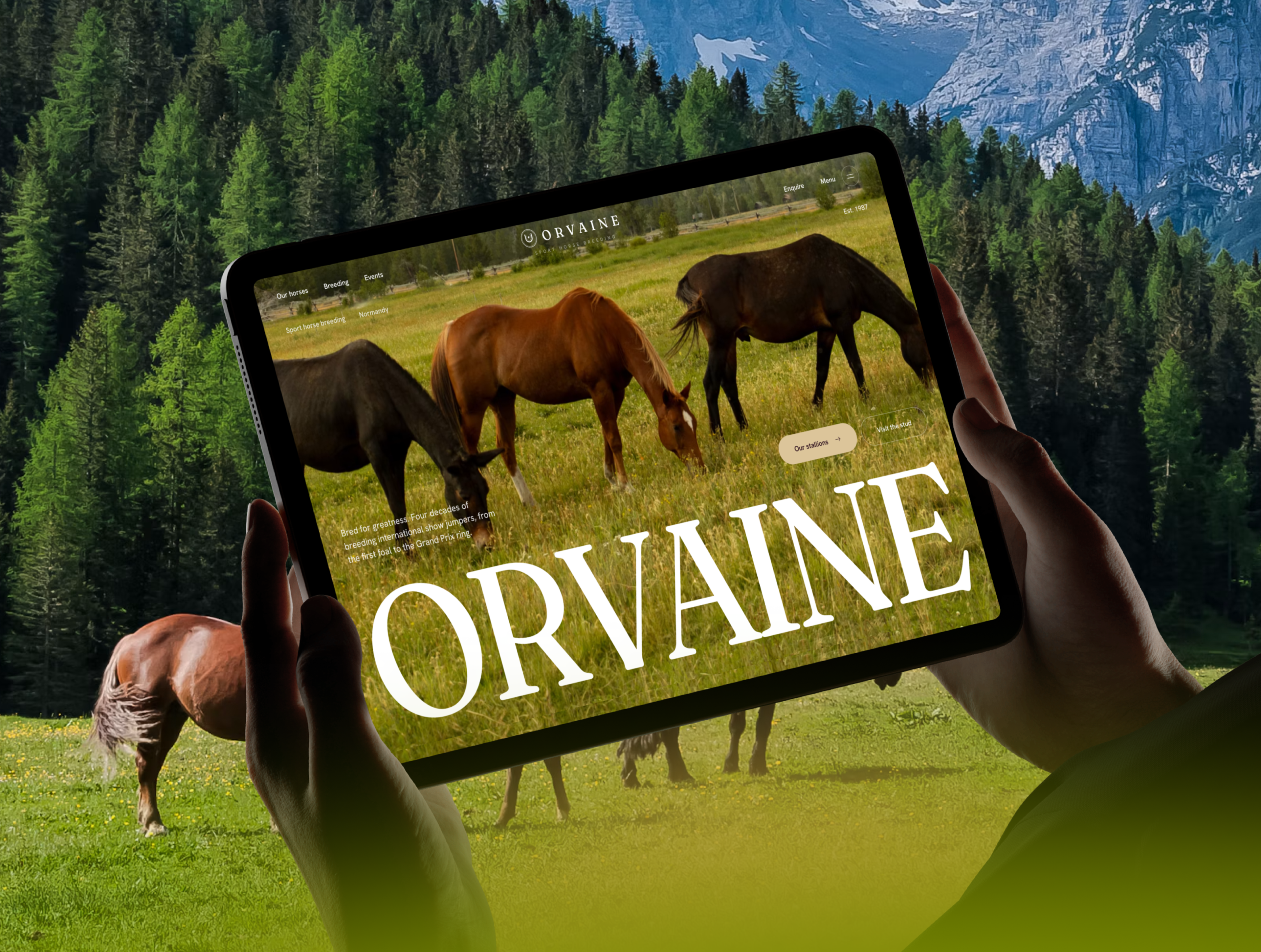 Orvaine - Luxury Equestrian & Horse Breeding Website Template screenshot 1