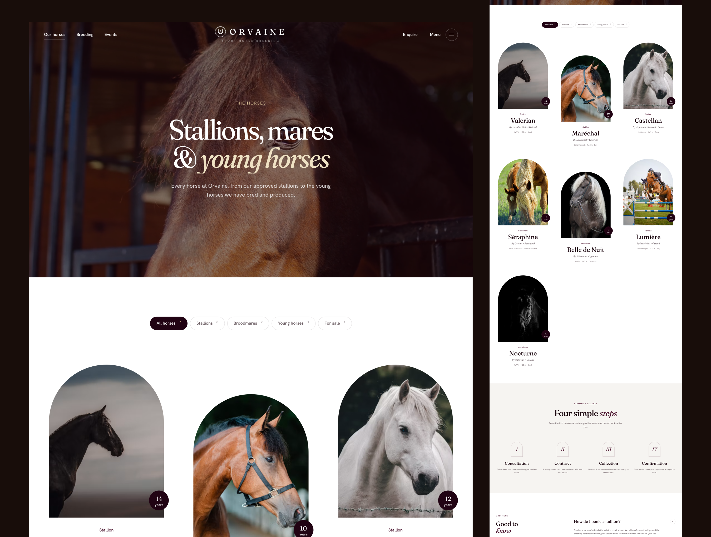Orvaine - Luxury Equestrian & Horse Breeding Website Template screenshot 4