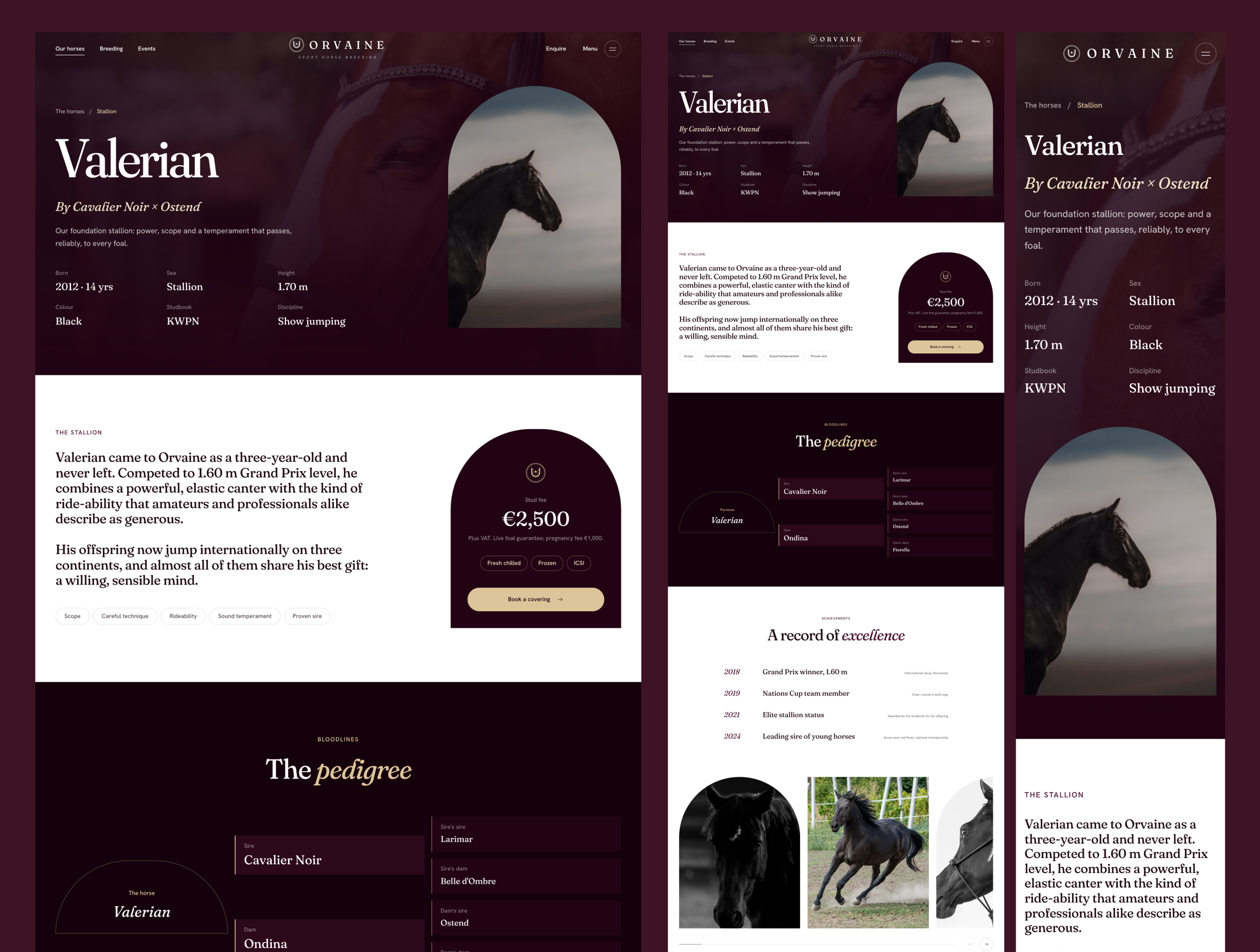 Orvaine - Luxury Equestrian & Horse Breeding Website Template screenshot 5