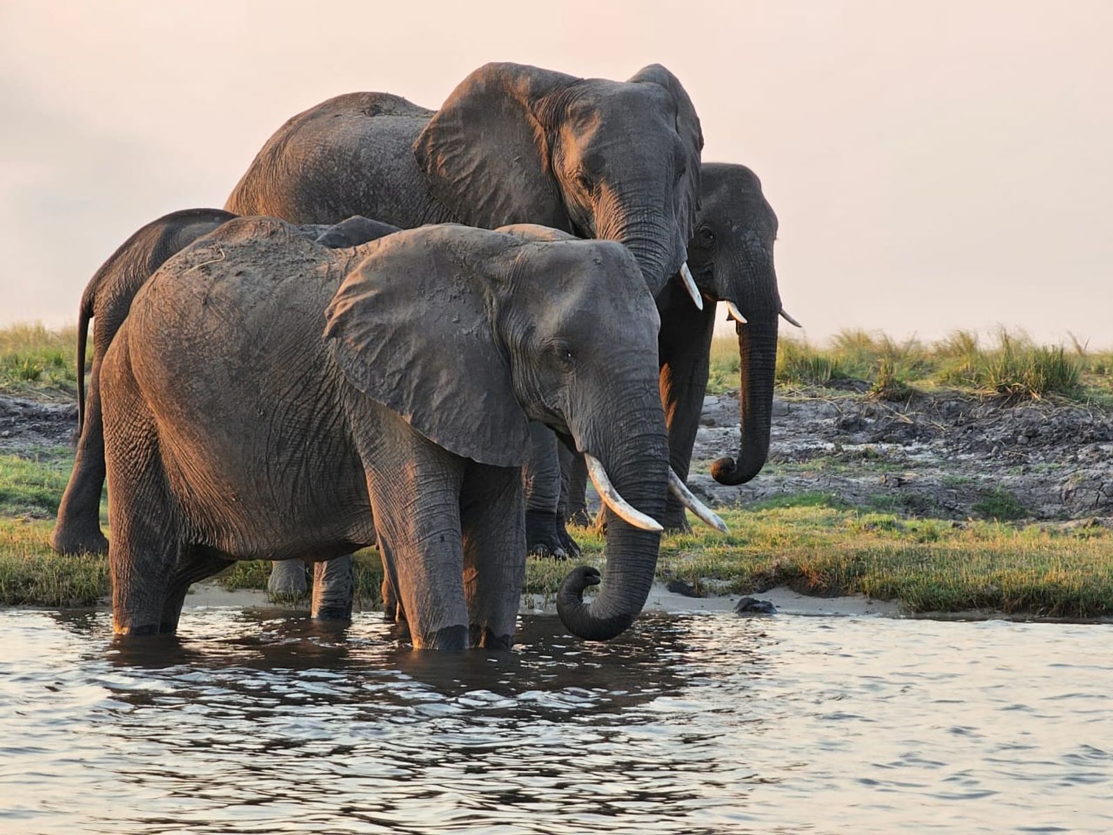 Your Essential Guide to Visiting Mozambique in Dry Season (June–October)