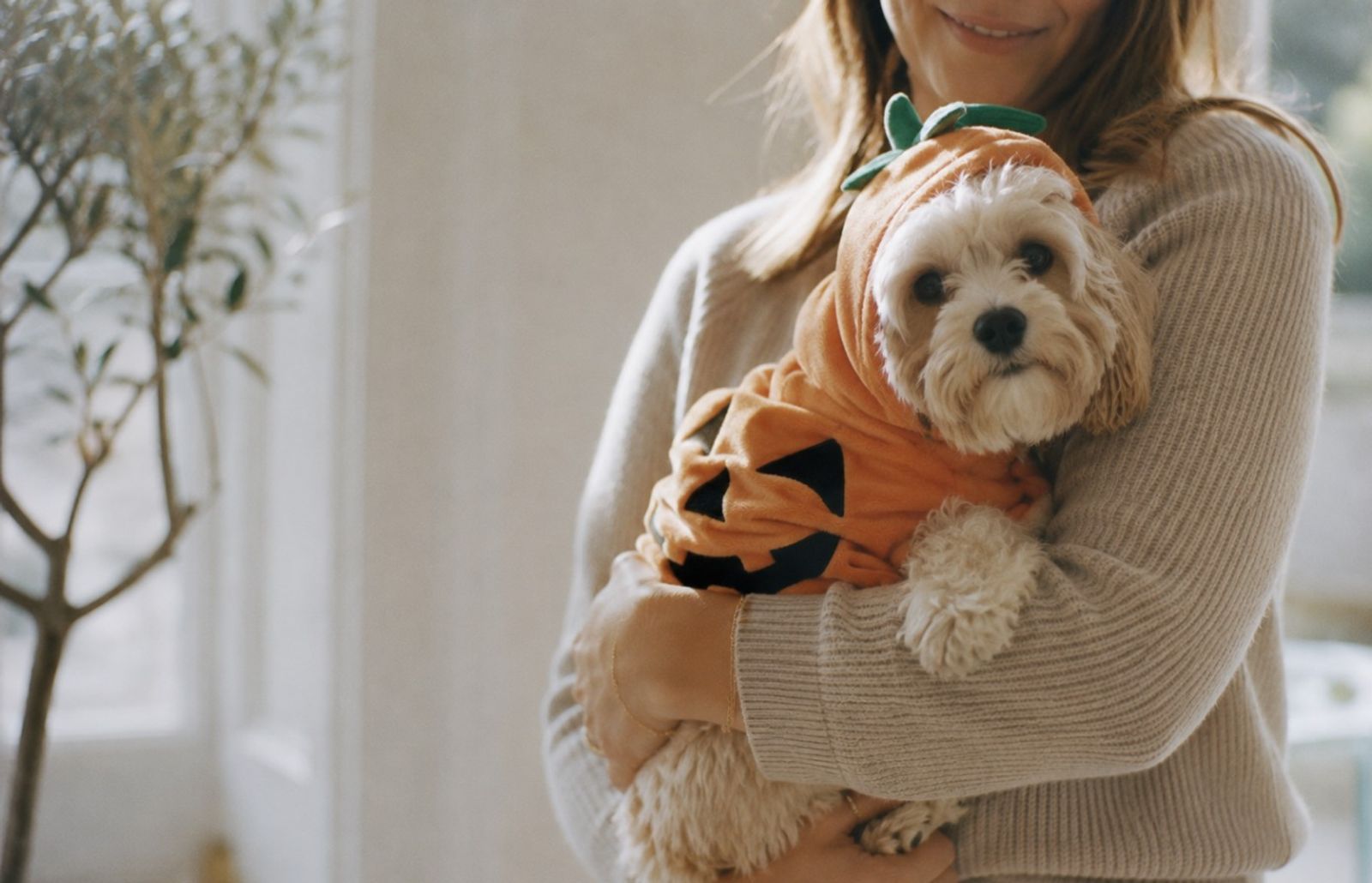 En tjej som håller en liten fluffig hund med en pumpadräkt