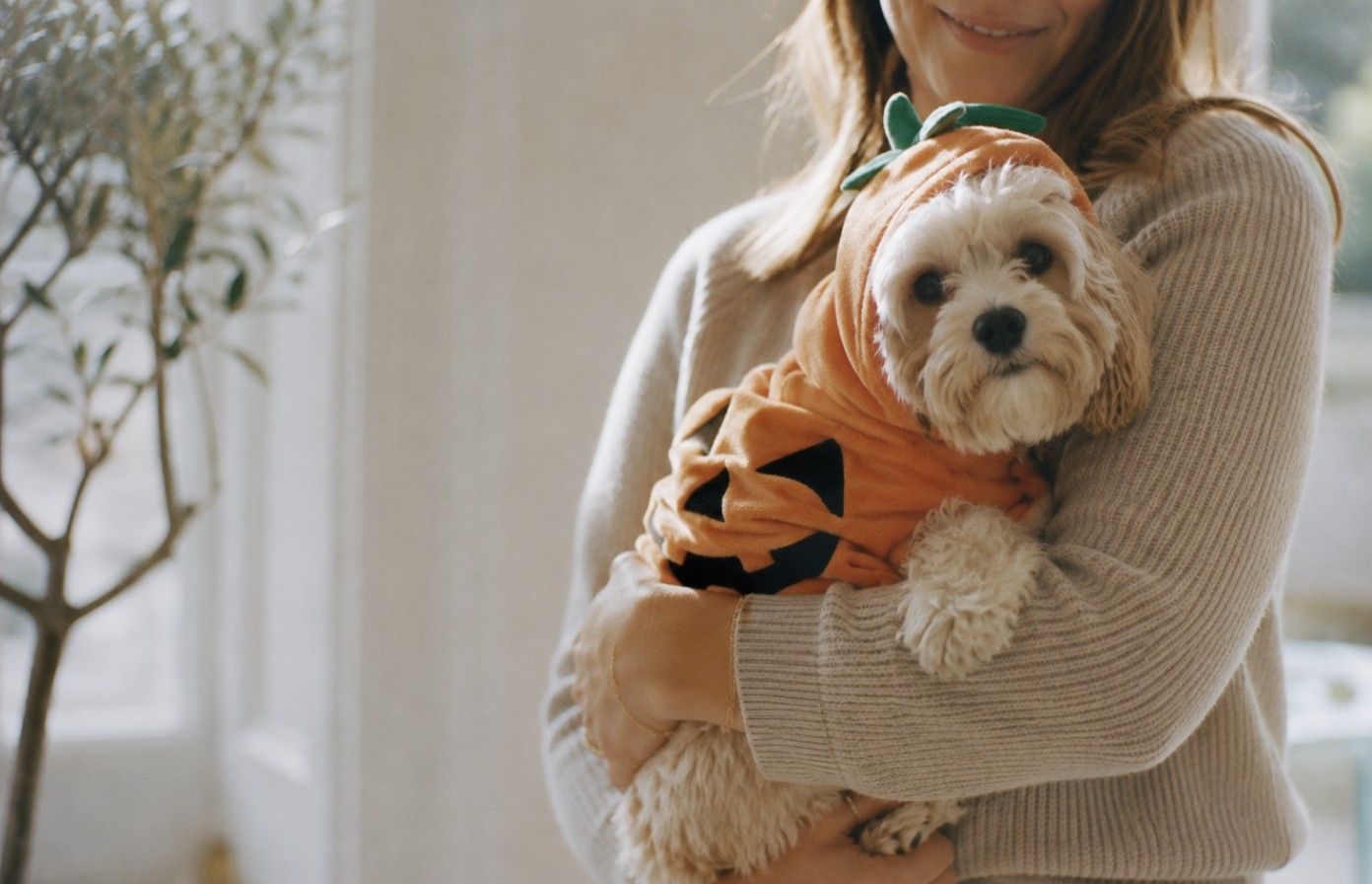 En tjej som håller en liten fluffig hund med en pumpadräkt