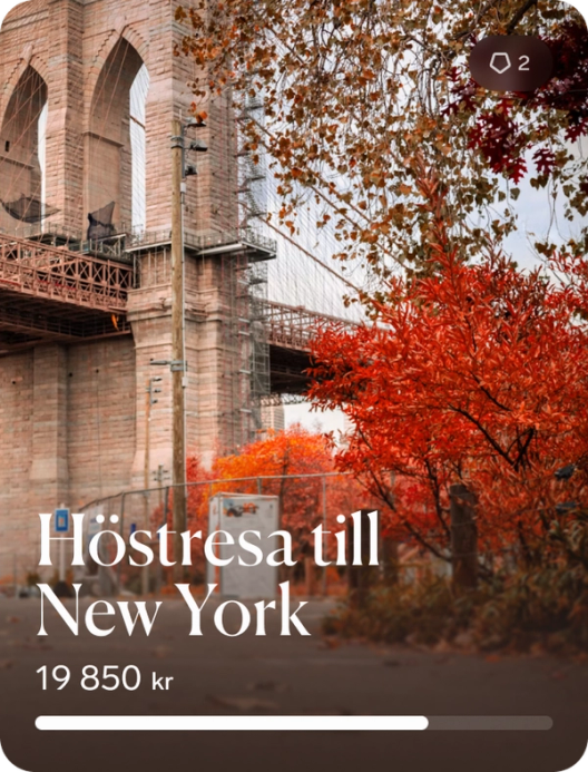 Drøm: Høstreise til New York