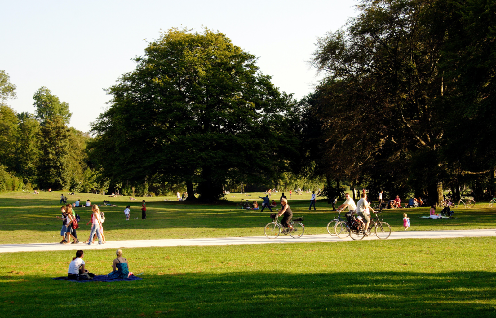 Stadspark i sommarsol med cyklister, picknickande och människor som ligger på gräset under stora lövträd.