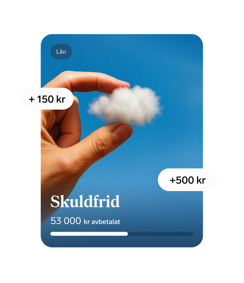 Skuldfrid-kort med 53 000 kr avbetalat och inkommande sparbelopp