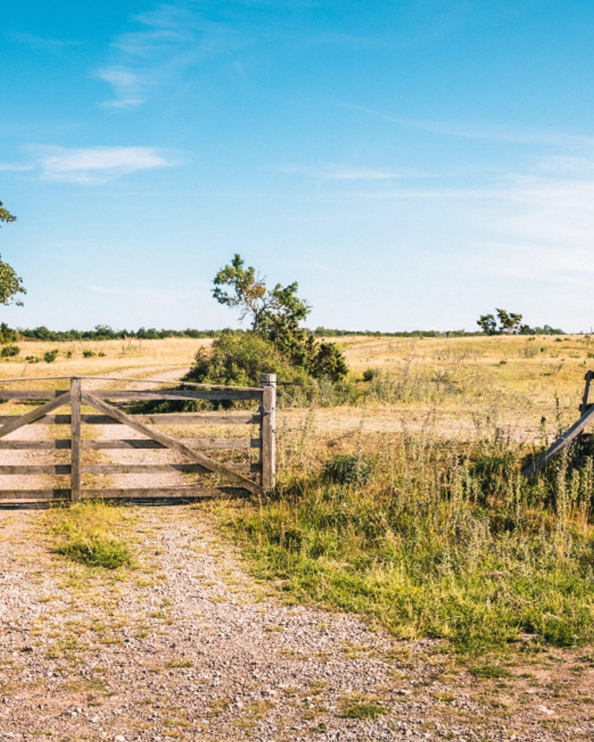 Liten träbrygga och låst grind med trapp framför ett öppet sommarfält och blå himmel — sommarsverige i ett snitt.