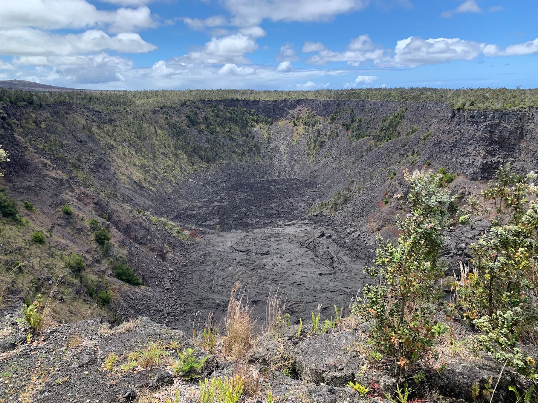 Photo 3 of Chain of Craters Road in Volcano, Big Island