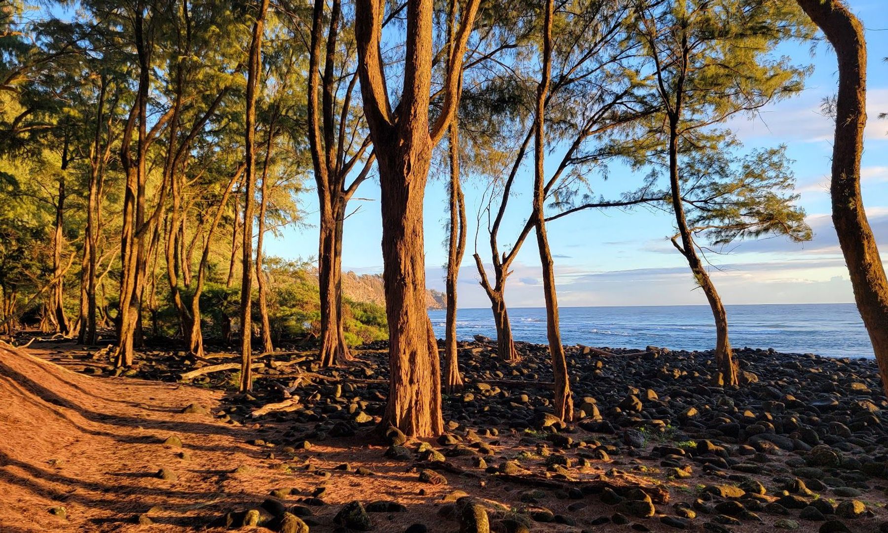 the Pololu Trail