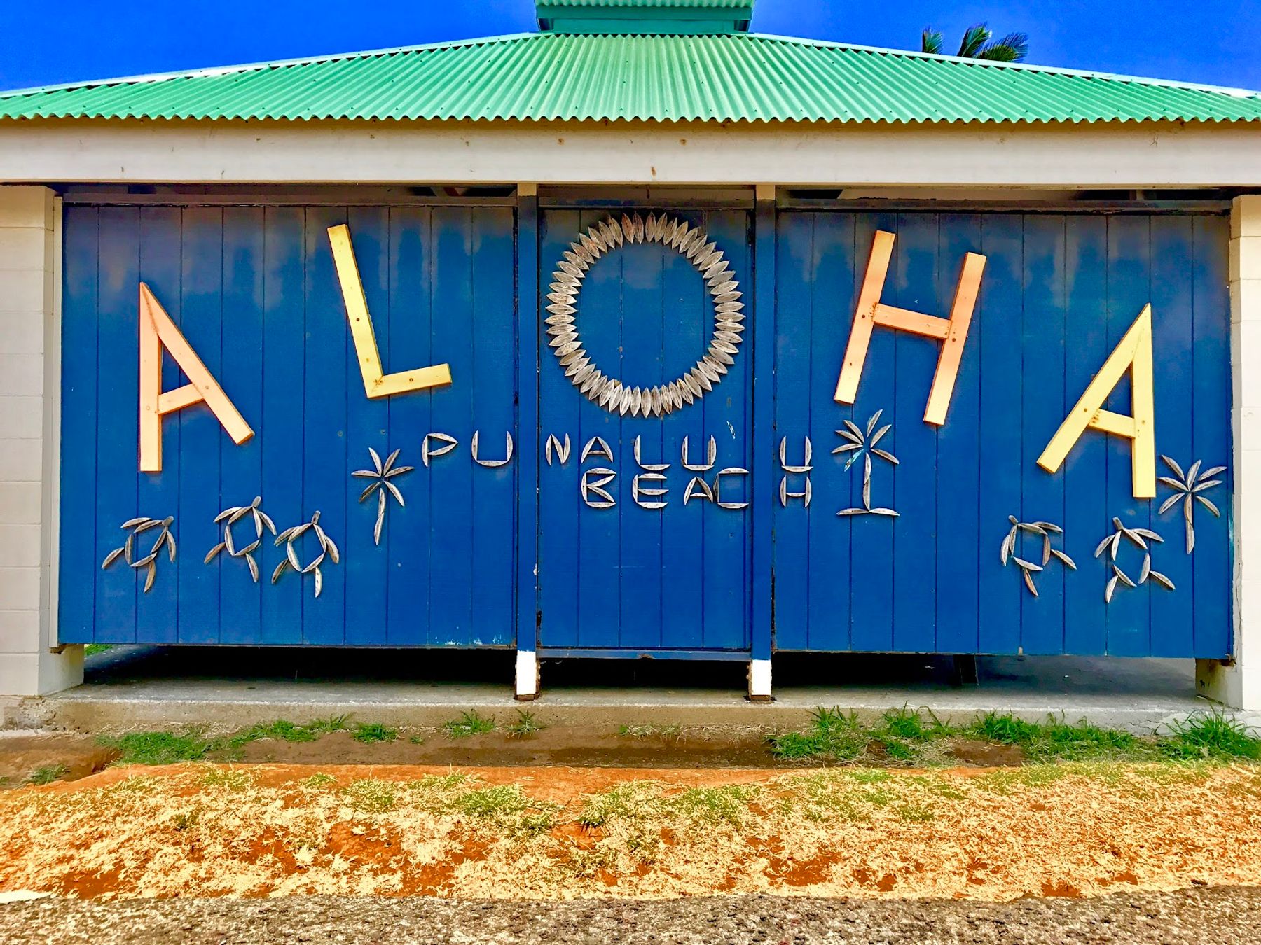 Photo 4 of Punaluʻu Beach in Pāhala, Big Island