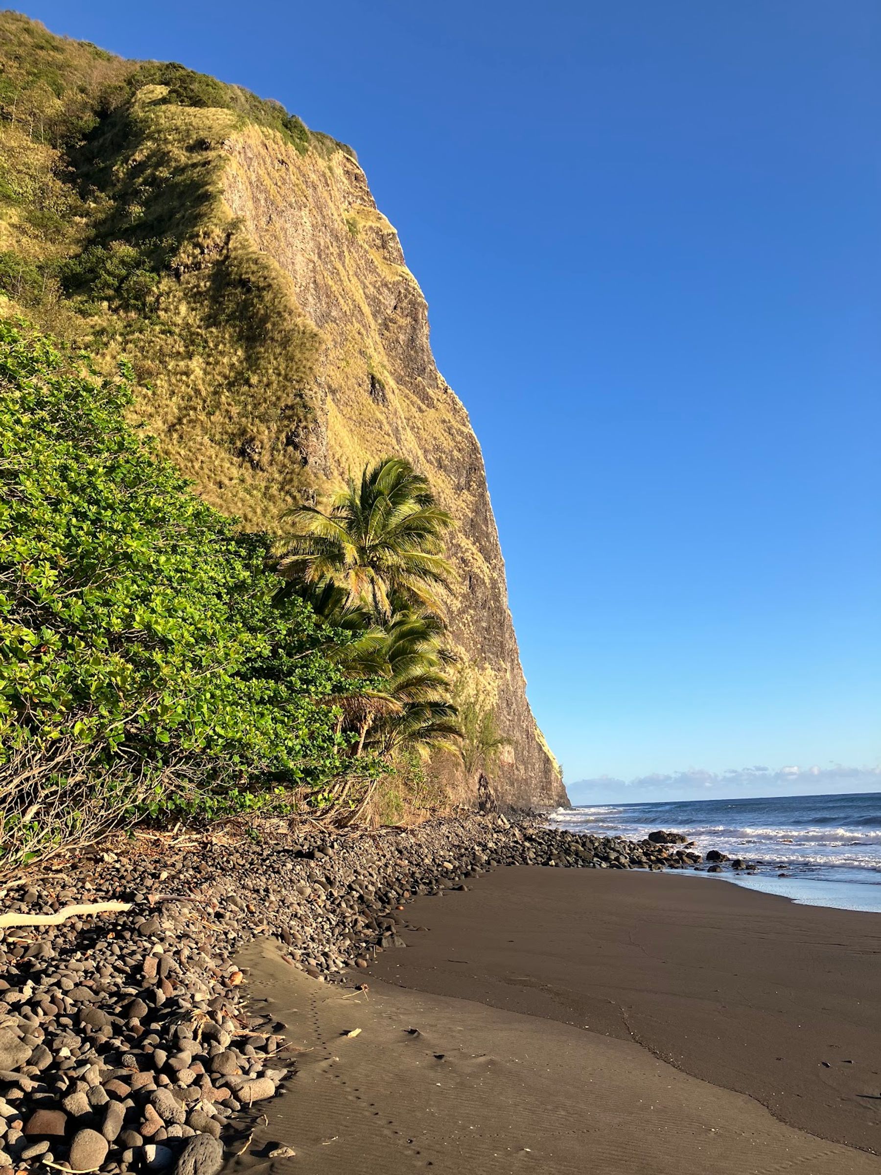Photo 2 of Muliwai Trail in Waipiʻo, Big Island