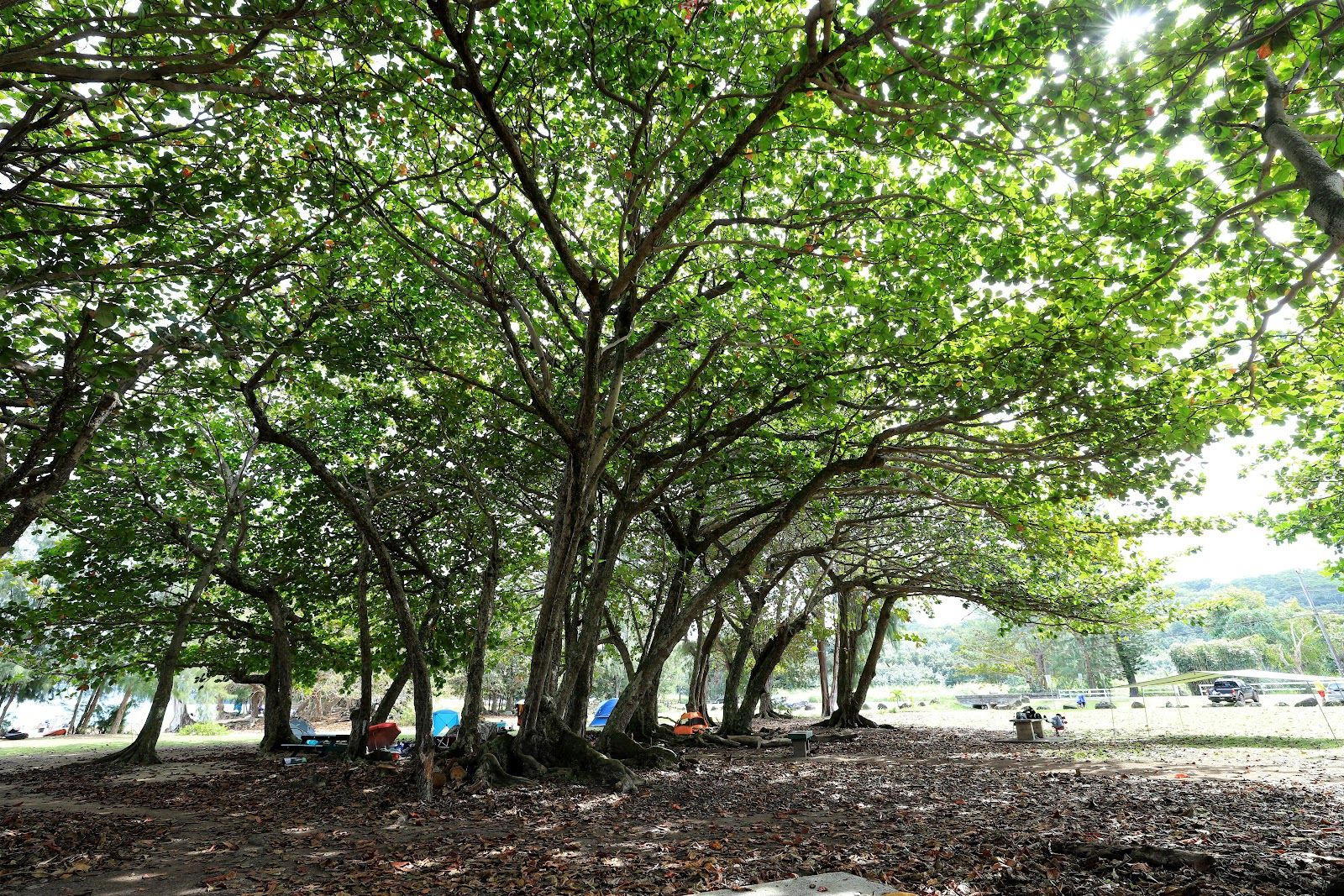 Anini Beach in Princeville, Kaua‘i photo 7
