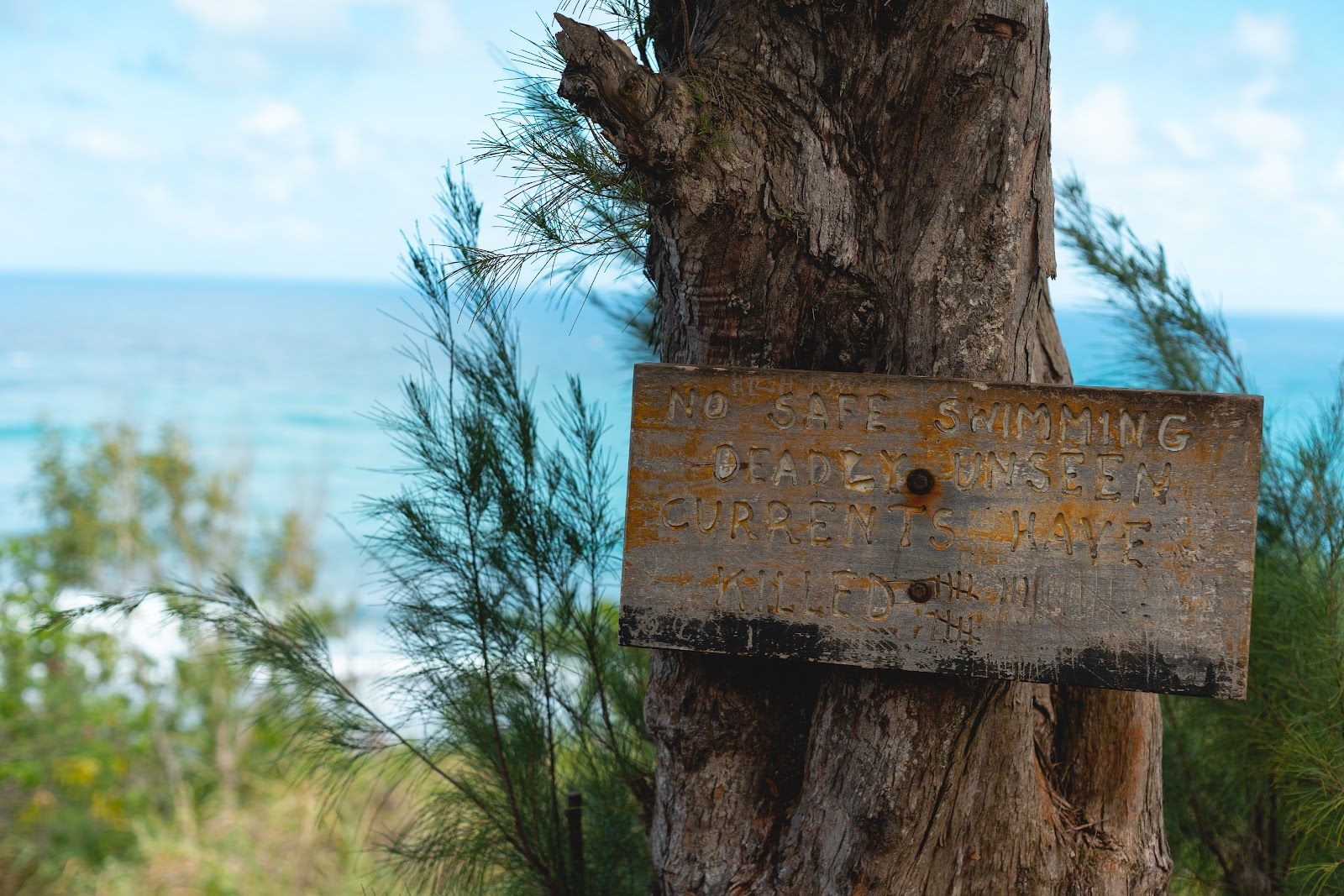 Larsen’s Beach (Ka'aka'aniu) in Kīlauea, Kaua‘i photo 3