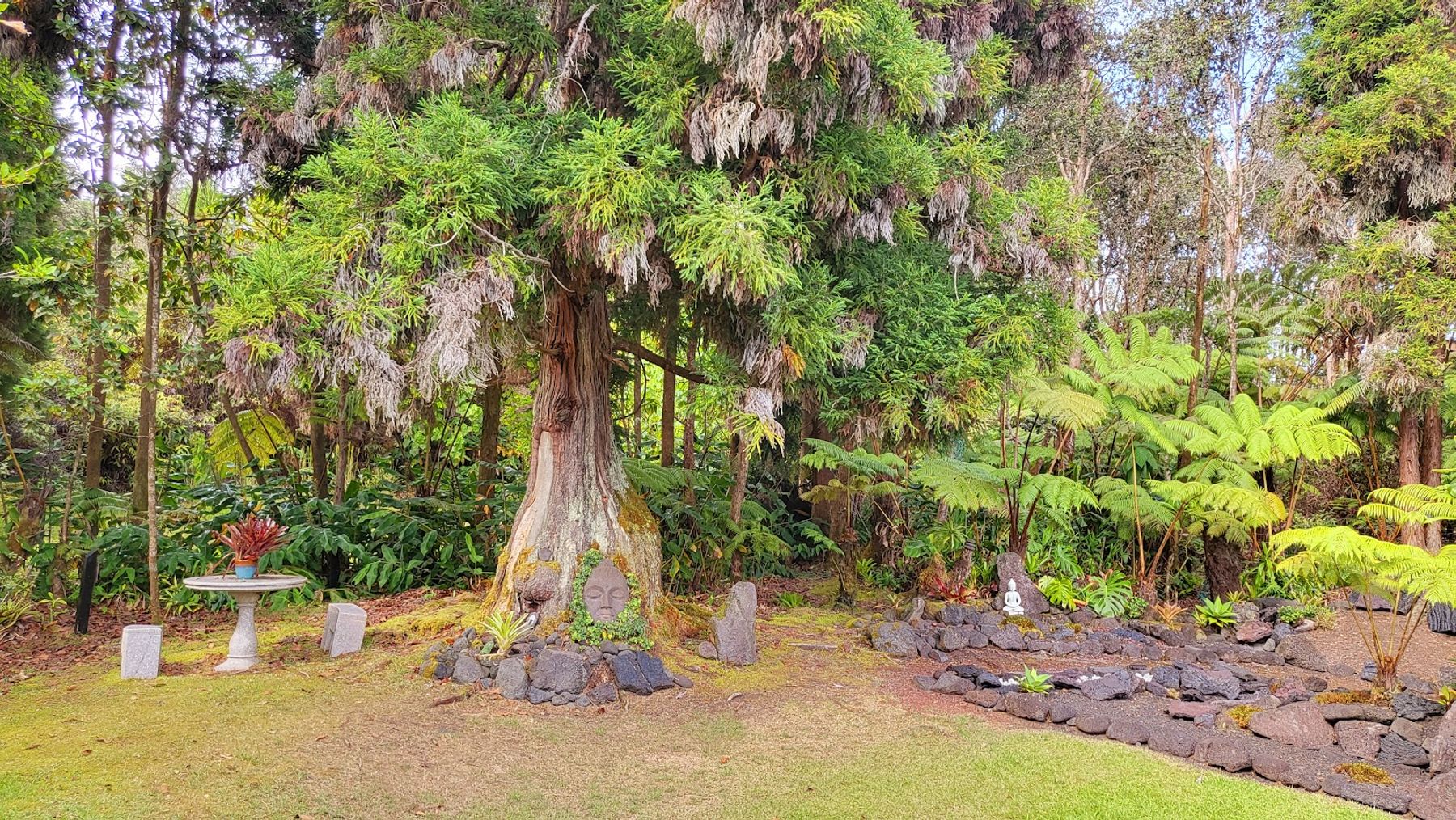 Photo 9 of Café Ono & Catering in Volcano, Big Island