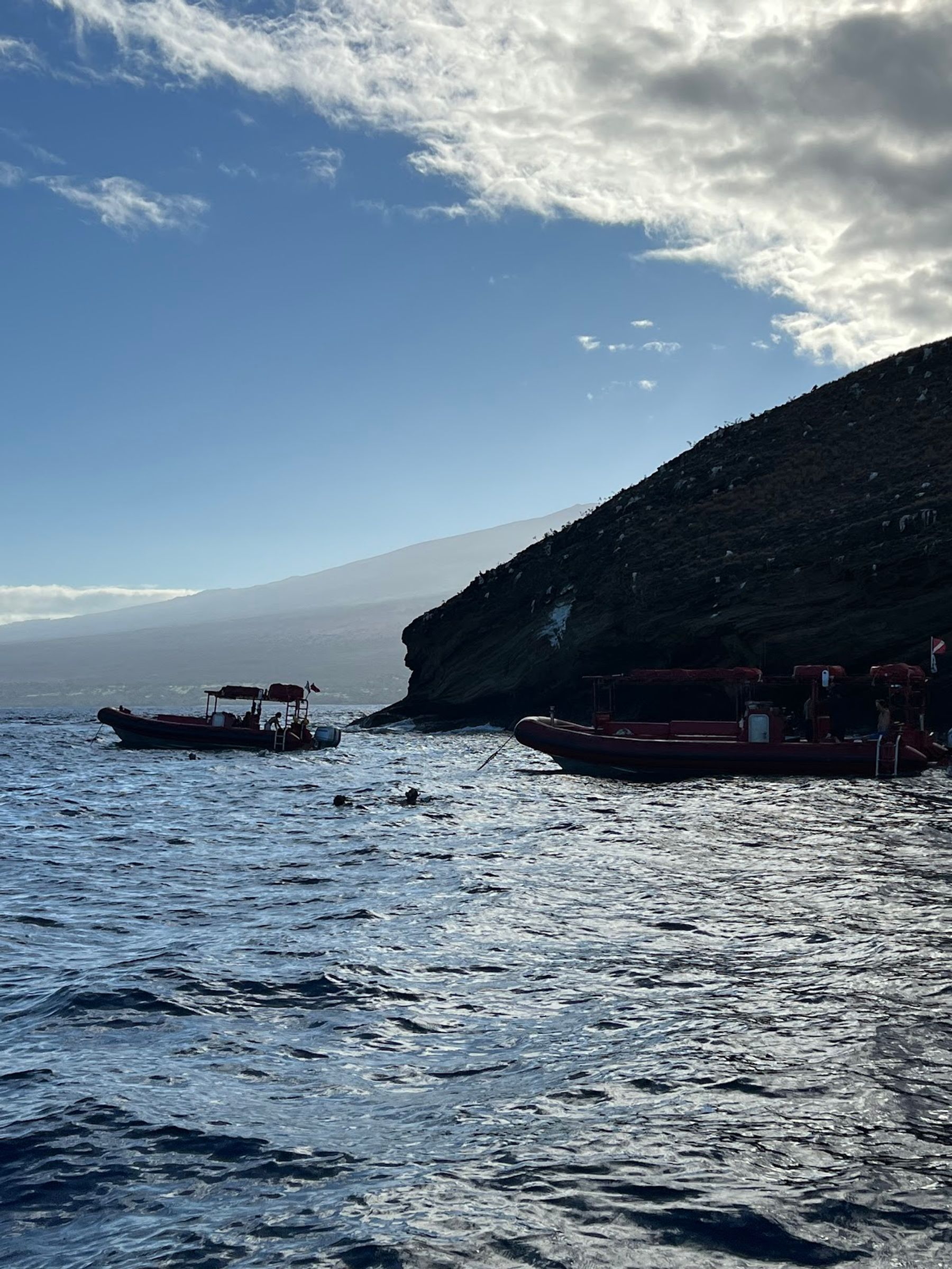Photo 4 of Maui Snorkel Charters in Wailea, Maui