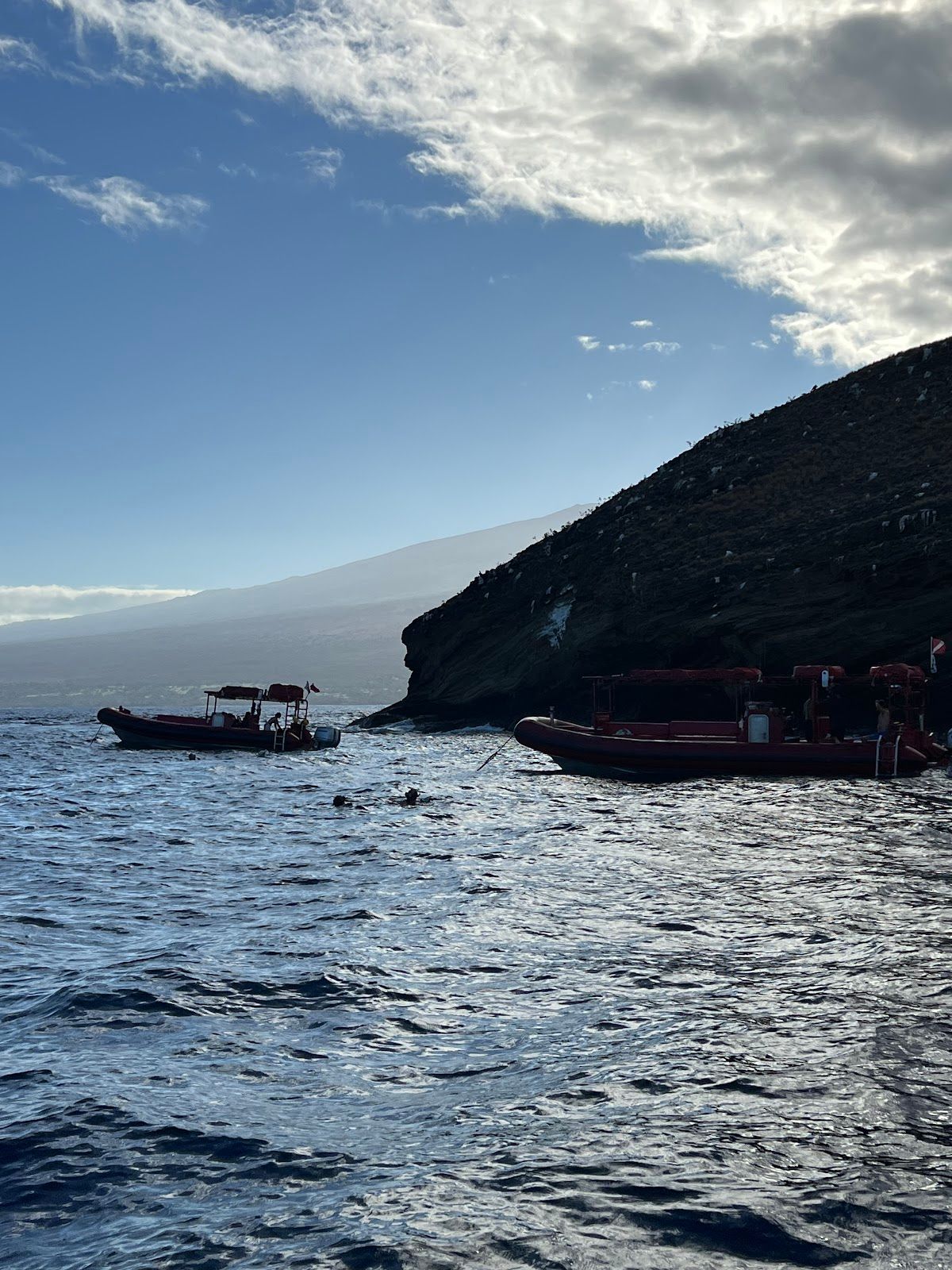 Photo 4 of Maui Snorkel Charters in Wailea, Maui
