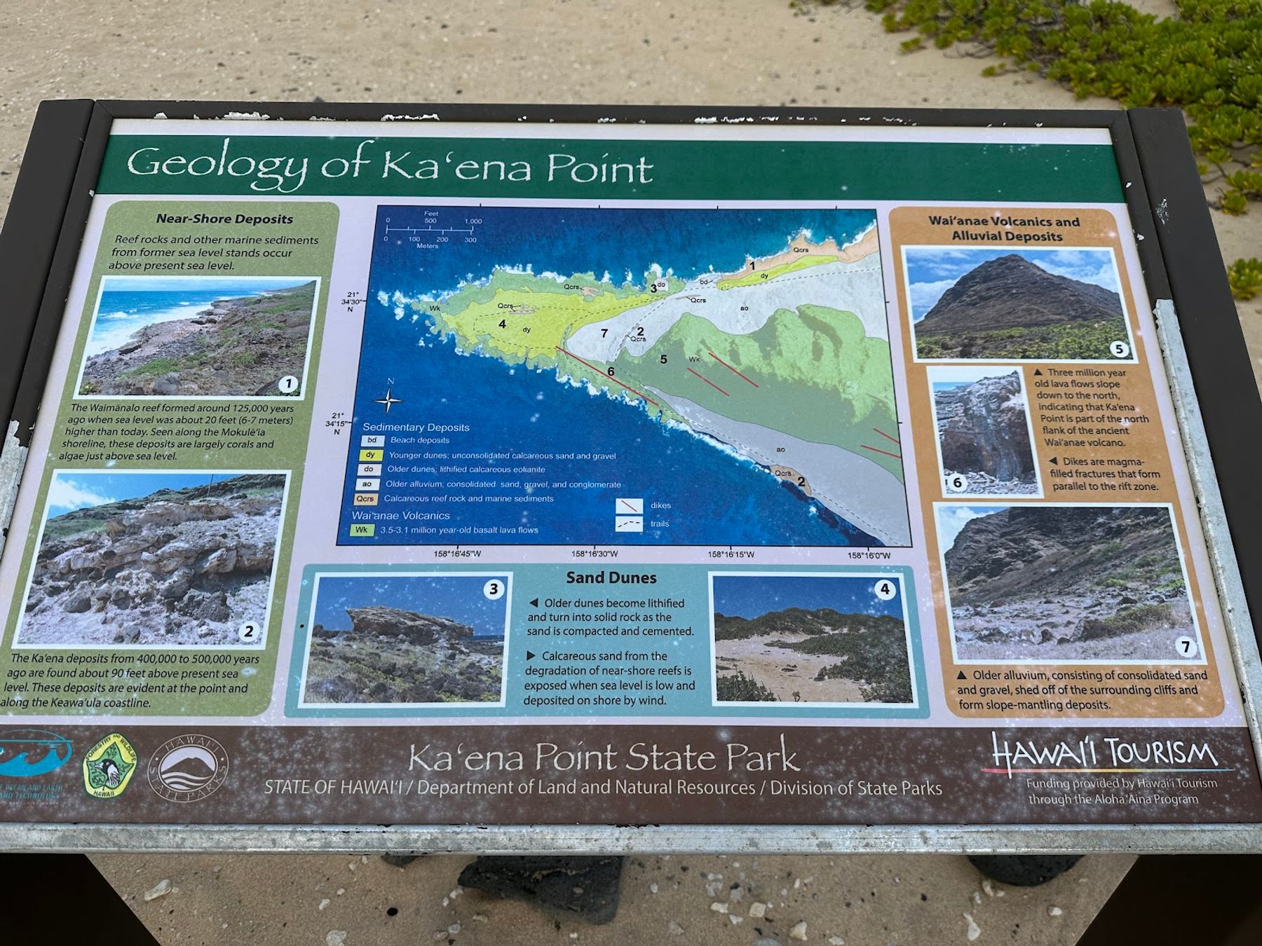 Photo 5 of Kaʻena Point Trail in Waialua & Mokulēʻia, Oahu