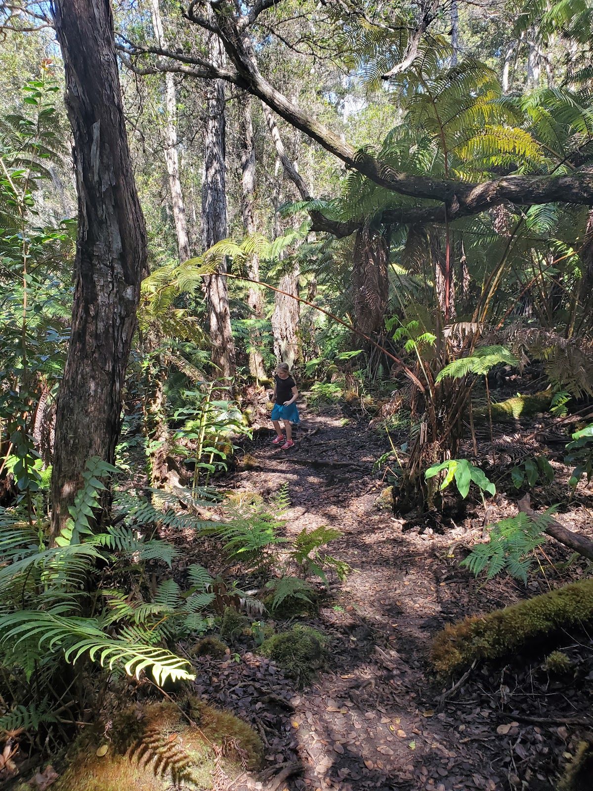 Photo 5 of Makaula 'O'oma Trail in Hōlualoa, Big Island
