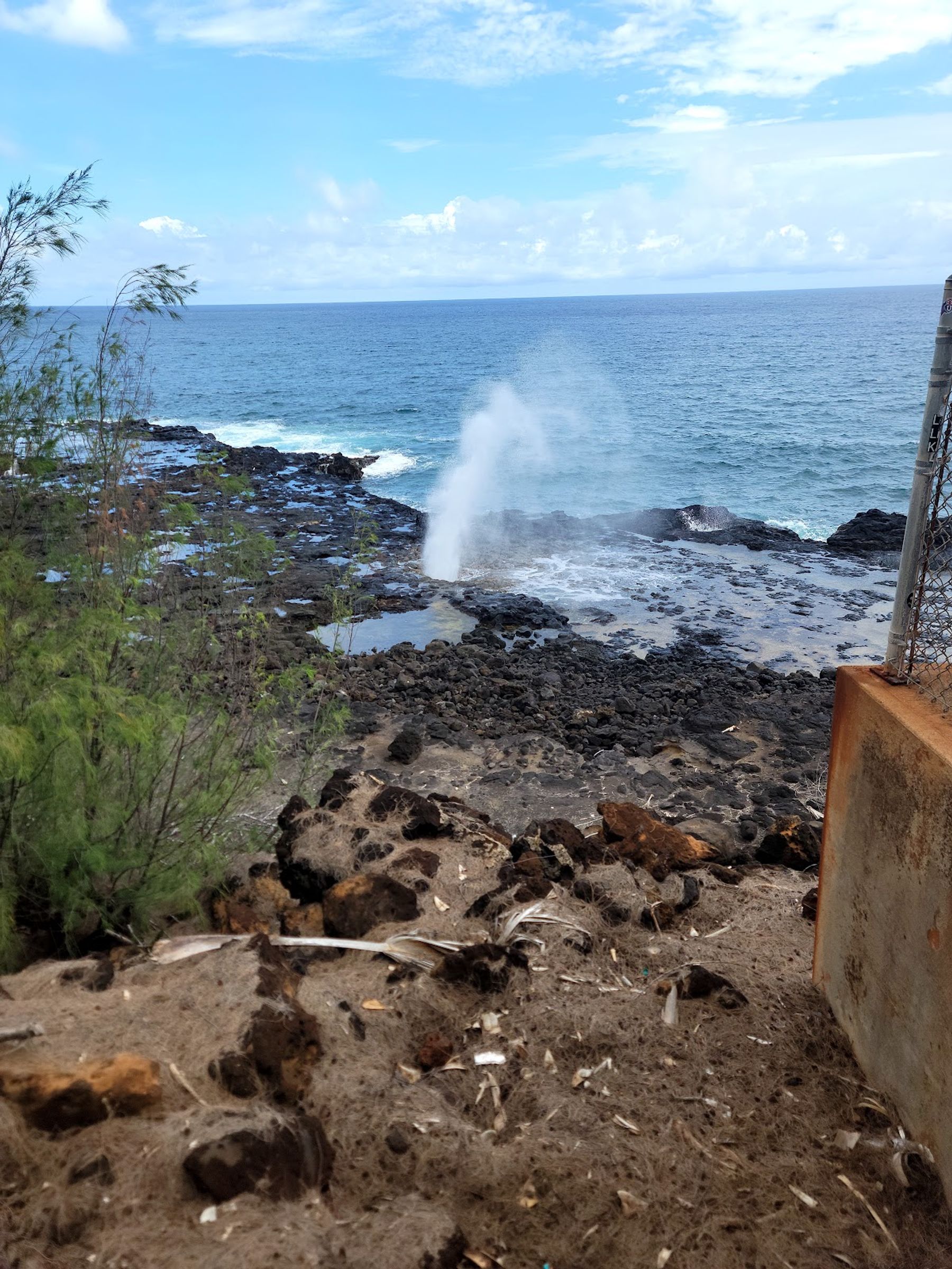 Photo 3 of Clark's Hawaii Tours in Kailua-Kona, Big Island