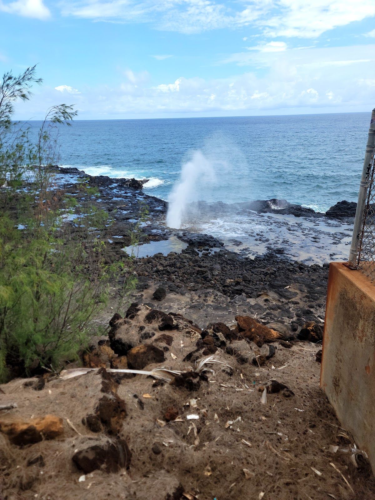 Photo 3 of Clark's Hawaii Tours in Kailua-Kona, Big Island