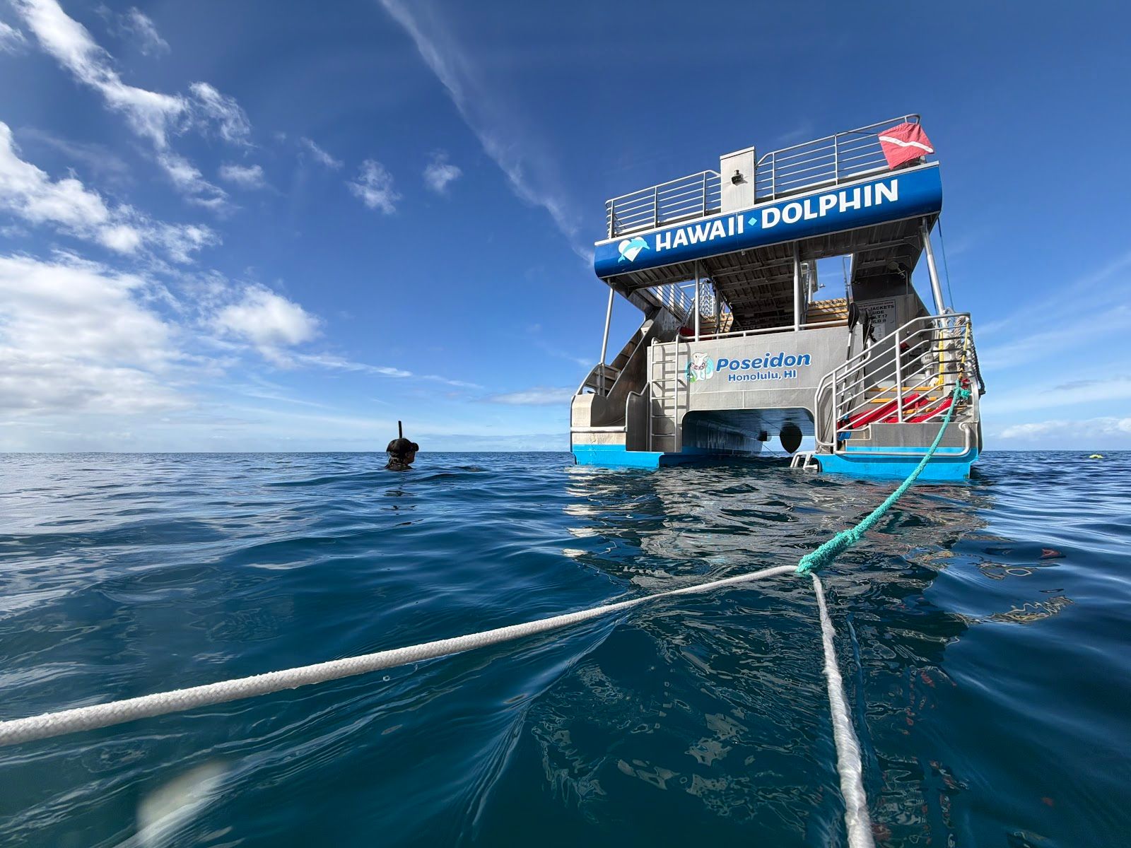 Photo 8 of Iruka Hawaii Dolphin Snorkeling Tours in Ala Moana & Mōʻiliʻili, Oahu