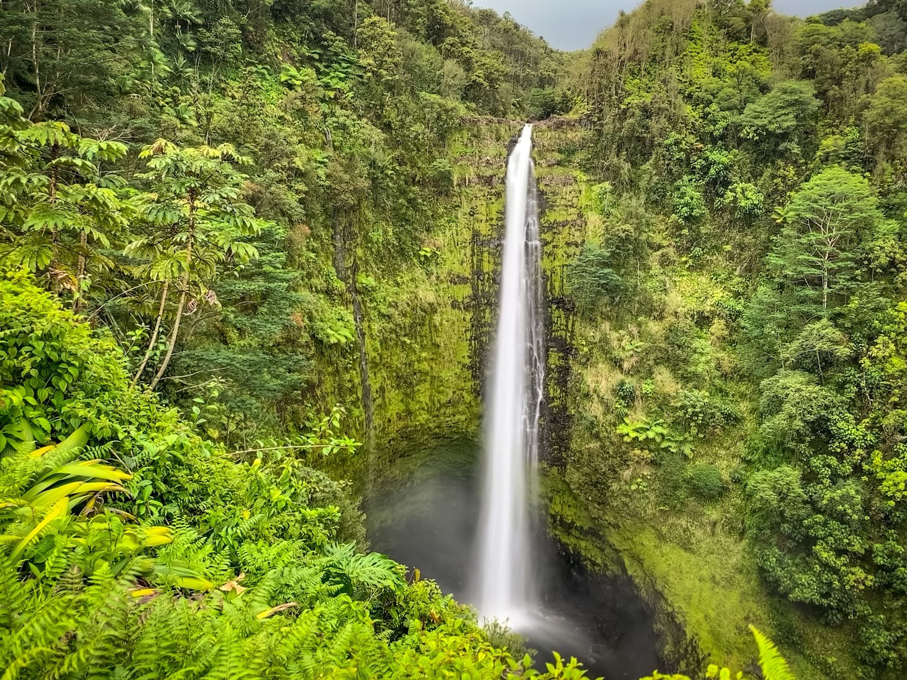 Photo 3 of Polynesian Adventure Tours in Kahului, Maui