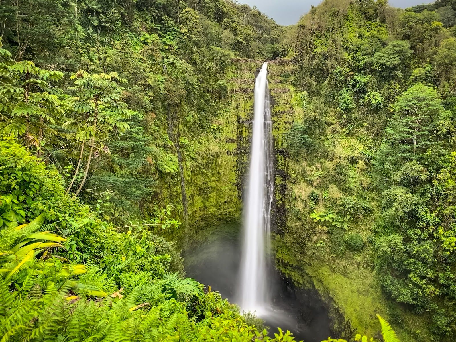 Photo 3 of Polynesian Adventure Tours in Kahului, Maui