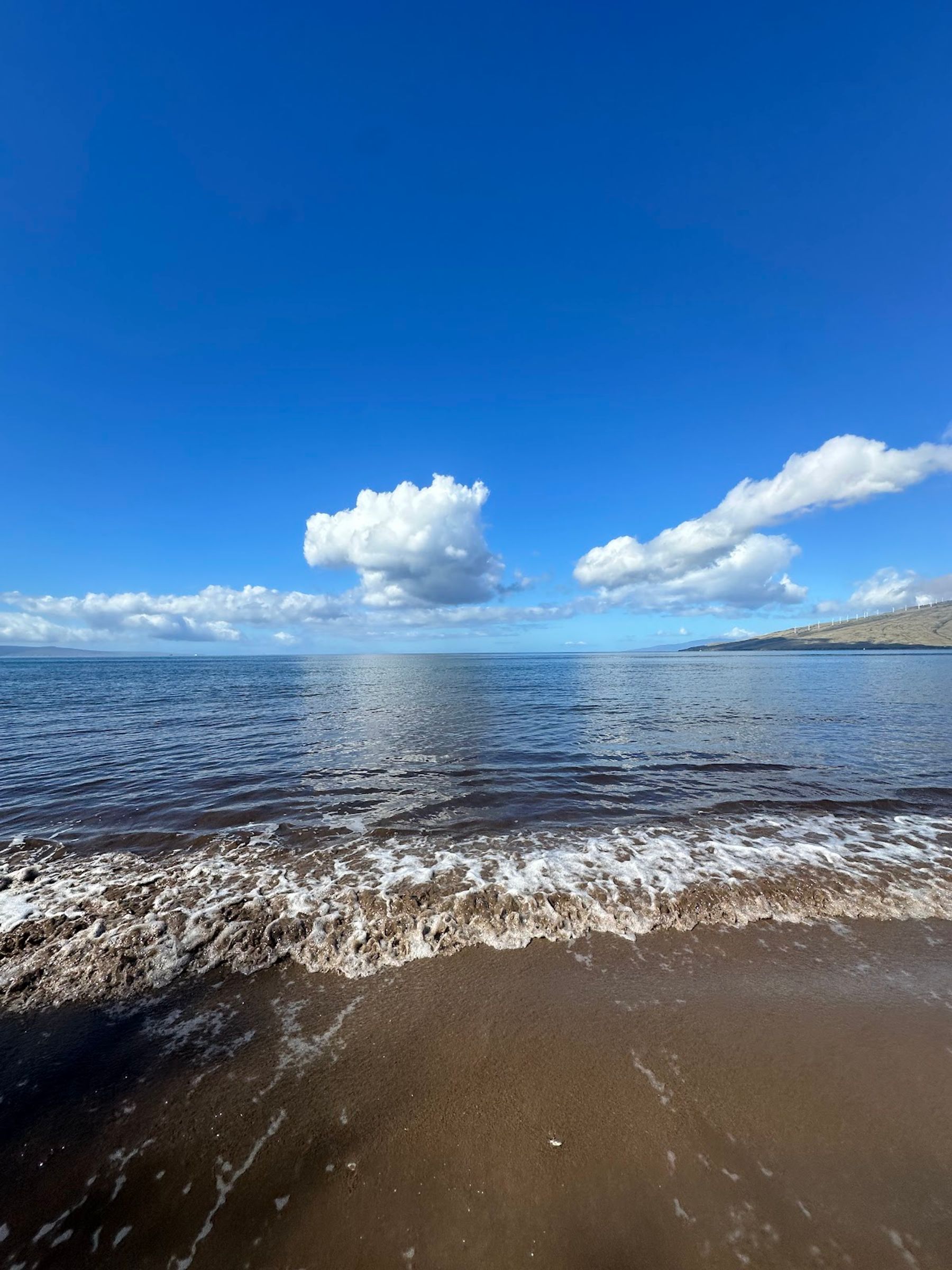 Photo 8 of Mai Poina Beach Park in Kīhei, Maui
