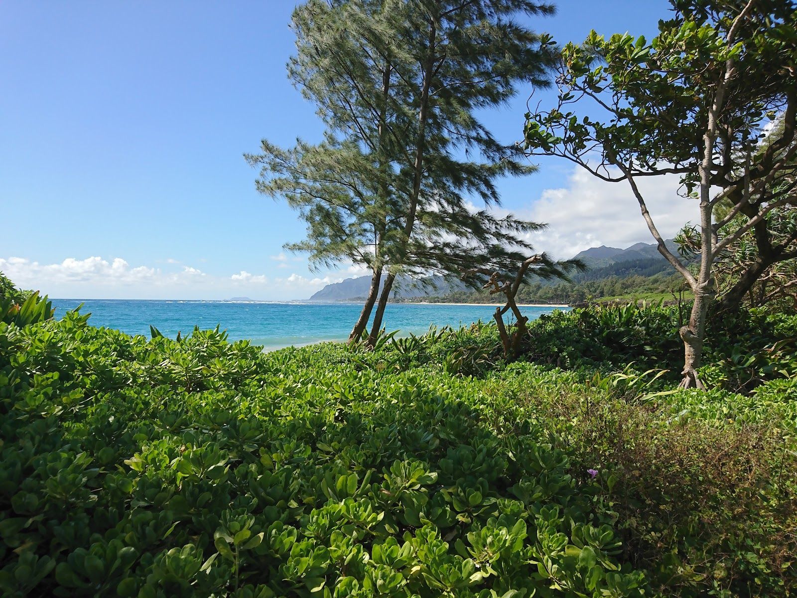 Photo 9 of Lāʻielohelohe Beach Park in Lāʻie, Oahu