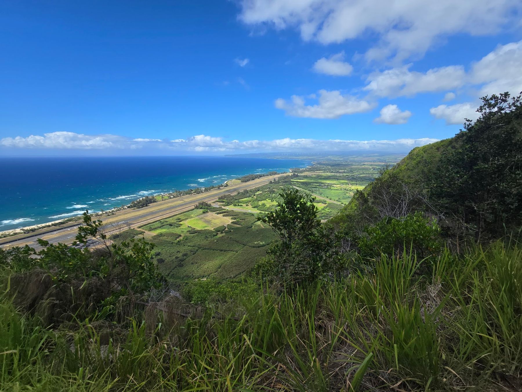 Photo 7 of Keālia Trail in Waialua & Mokulēʻia, Oahu