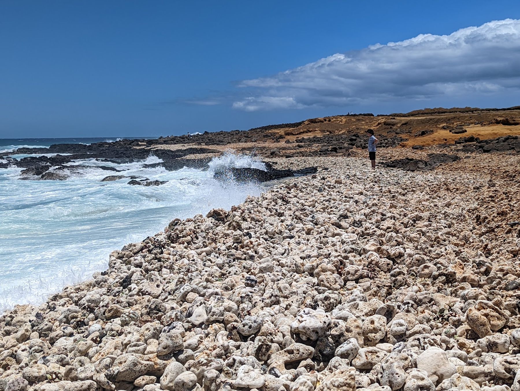 Photo 10 of Kalalea Heiau in South Point, Big Island