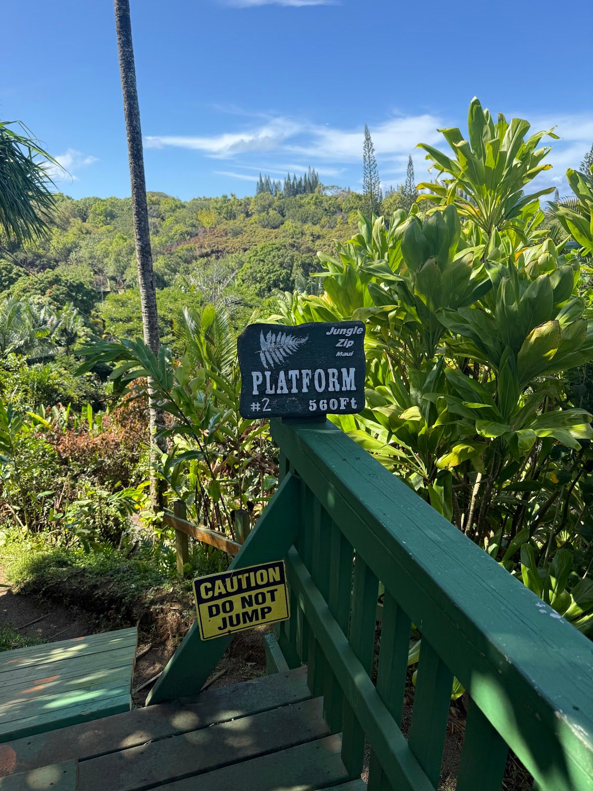 Photo 7 of Jungle Zipline Maui-HI in Haʻikū, Maui
