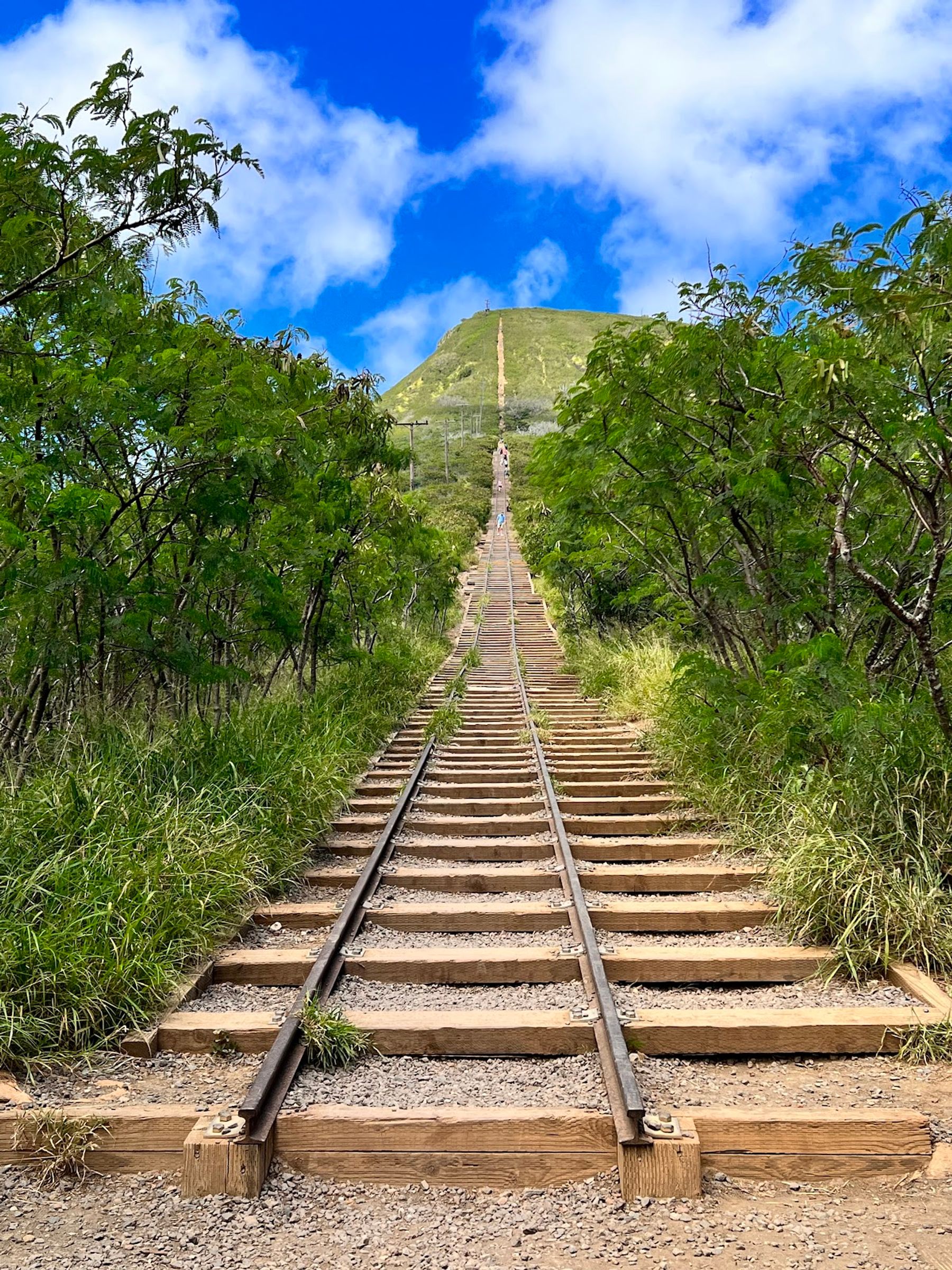 Photo 1 of Koko Head District Park in Hawaiʻi Kai & East Honolulu, Oahu