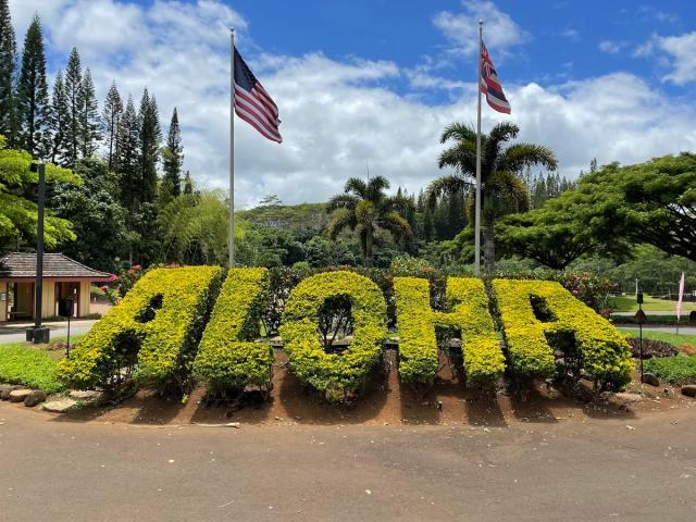 the word aloha as topiary