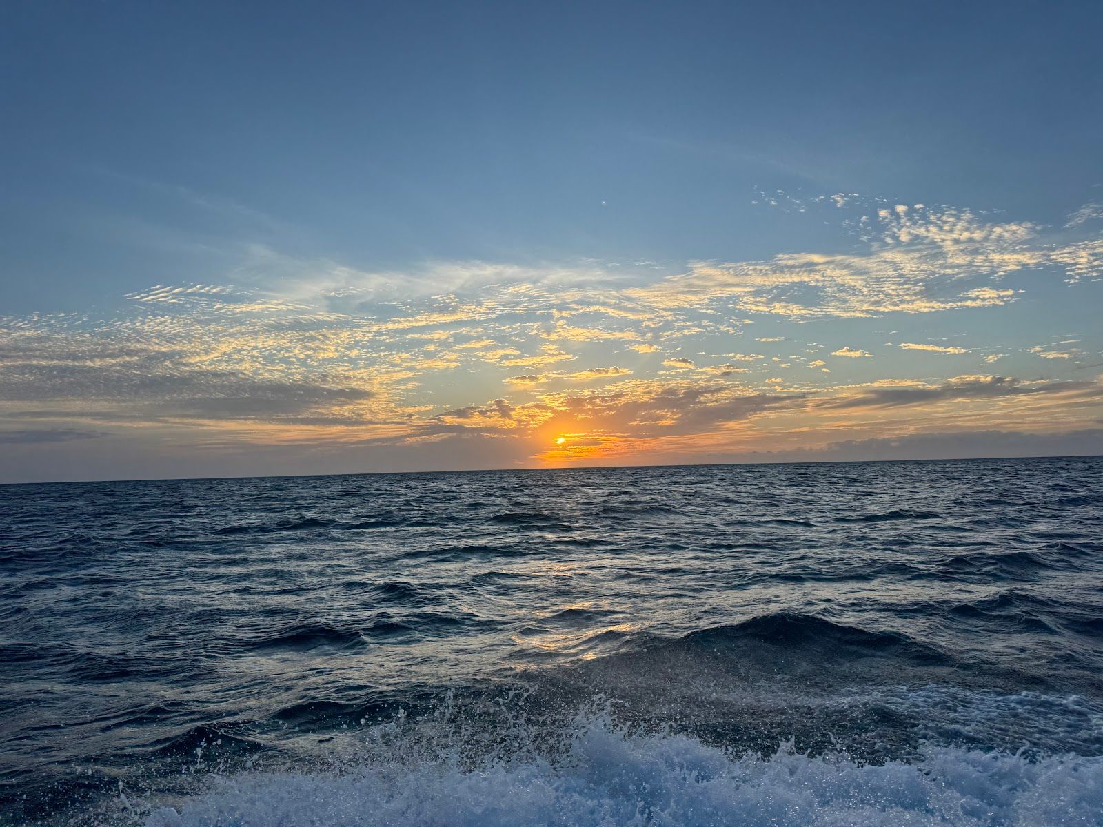 Photo 6 of Adventure X Boat Tours in Mauna Kea Beach, Big Island